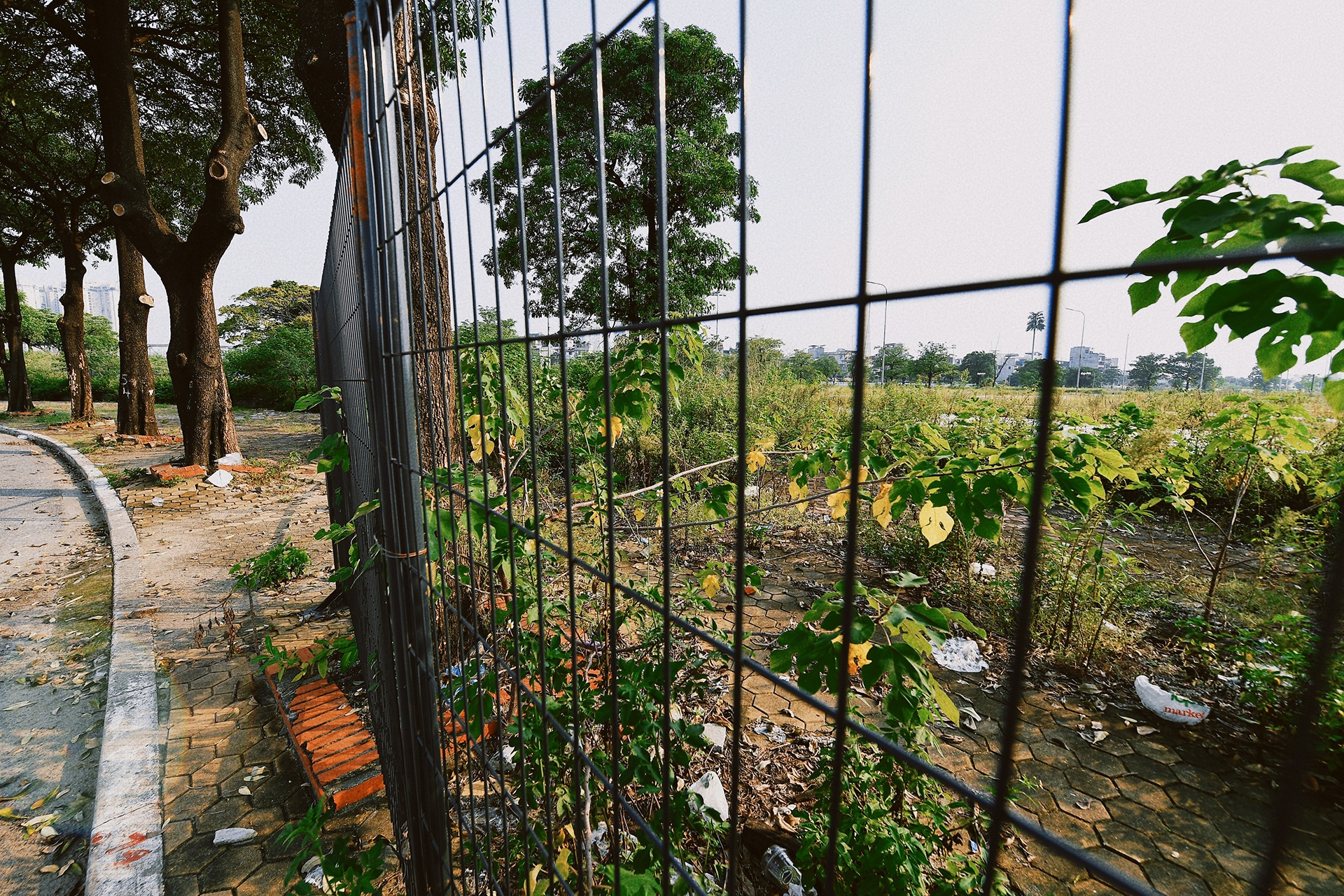duong dua F1 bi bo hoang ra sao anh 11