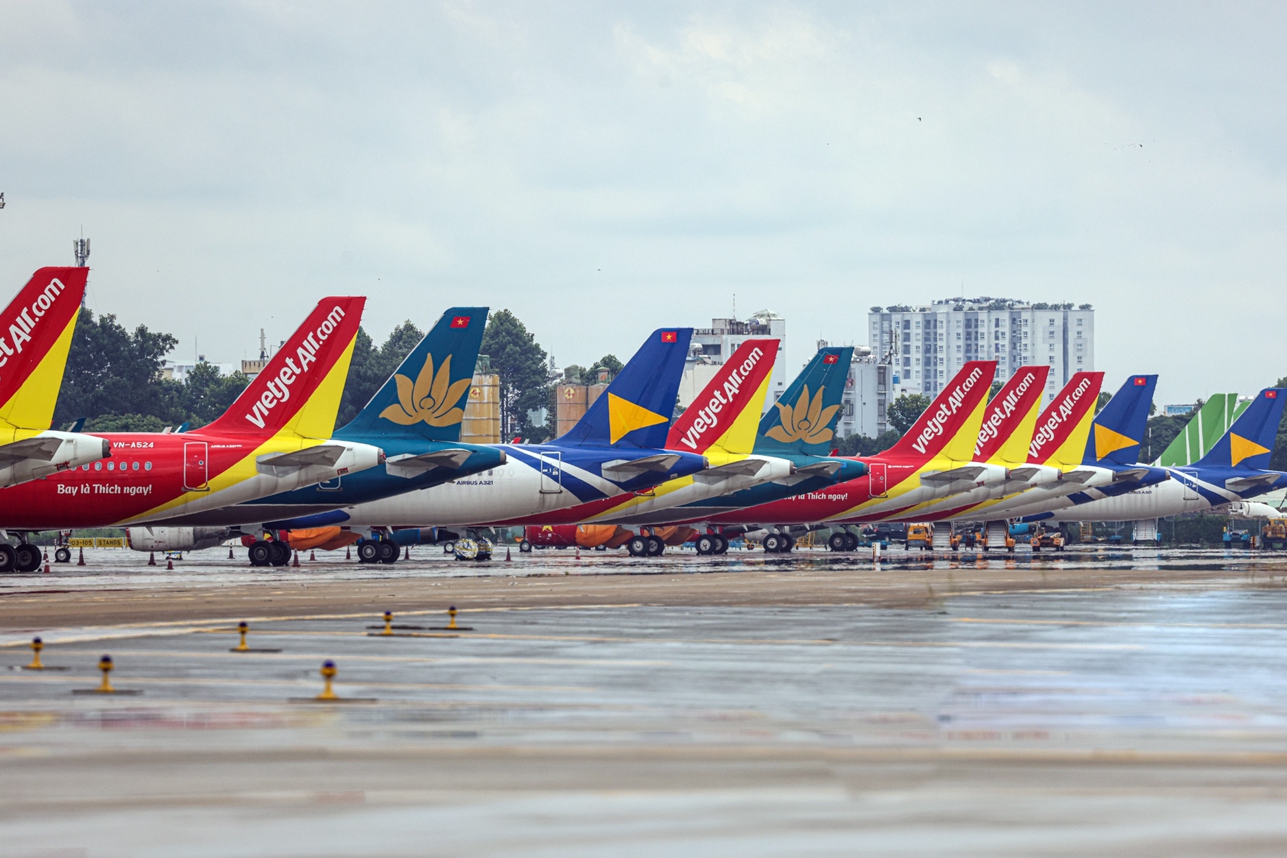 Dan may bay xep hang tai Tan Son Nhat cho ngay cat canh hinh anh