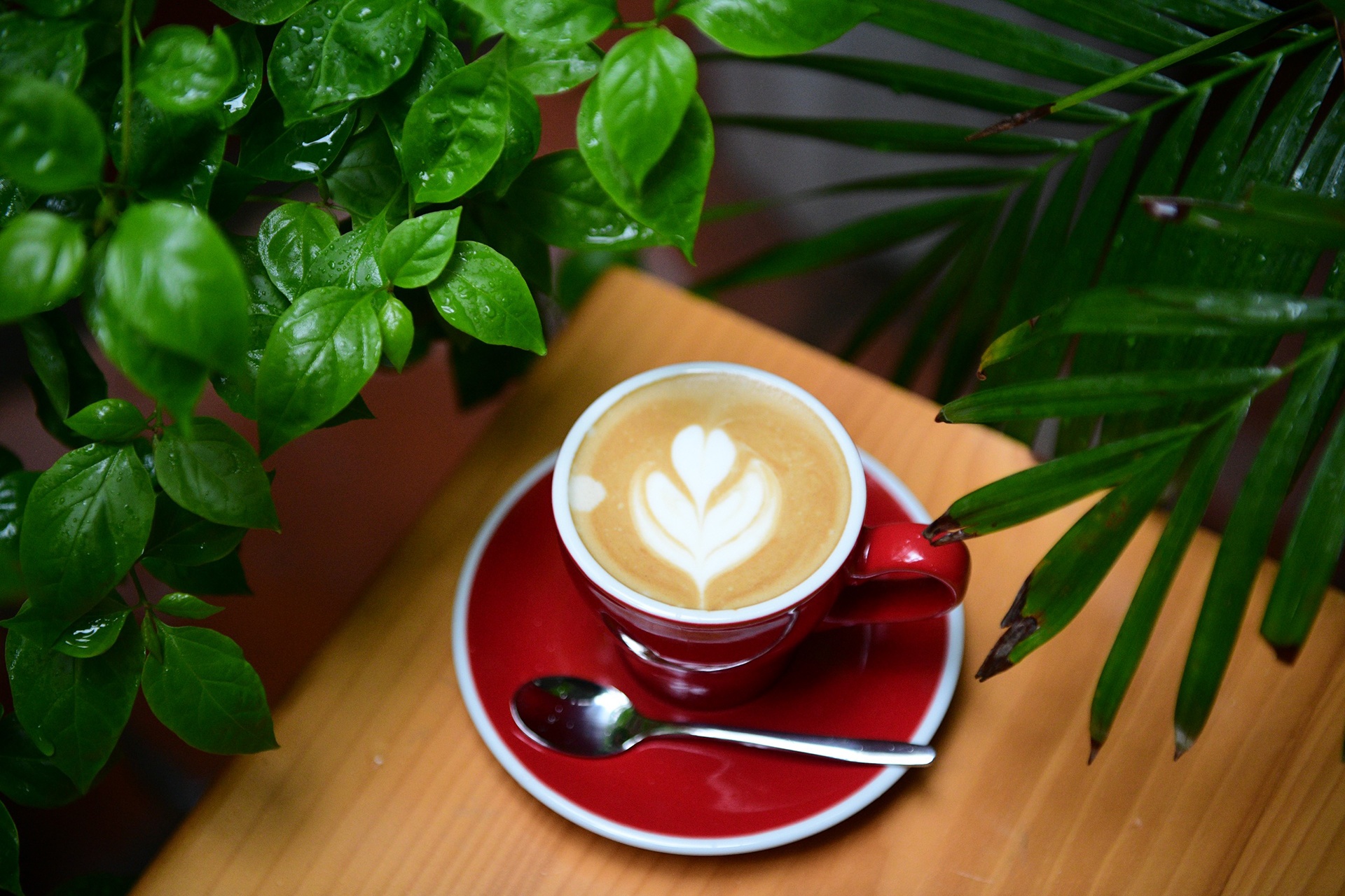 hang quan tiep khach ngay dau anh 16