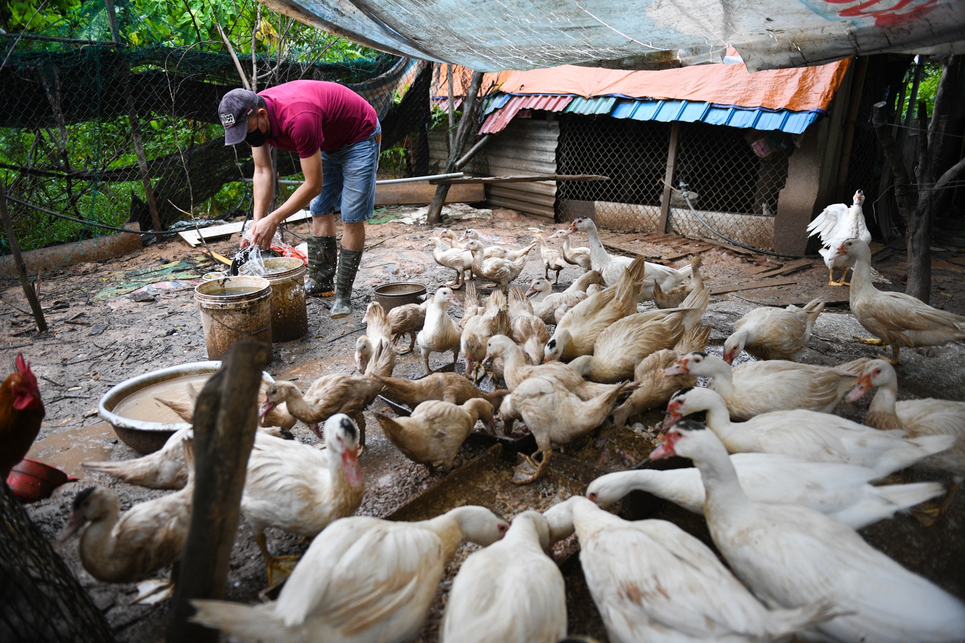 chuyen tac nghiep cua phong vien anh anh 18