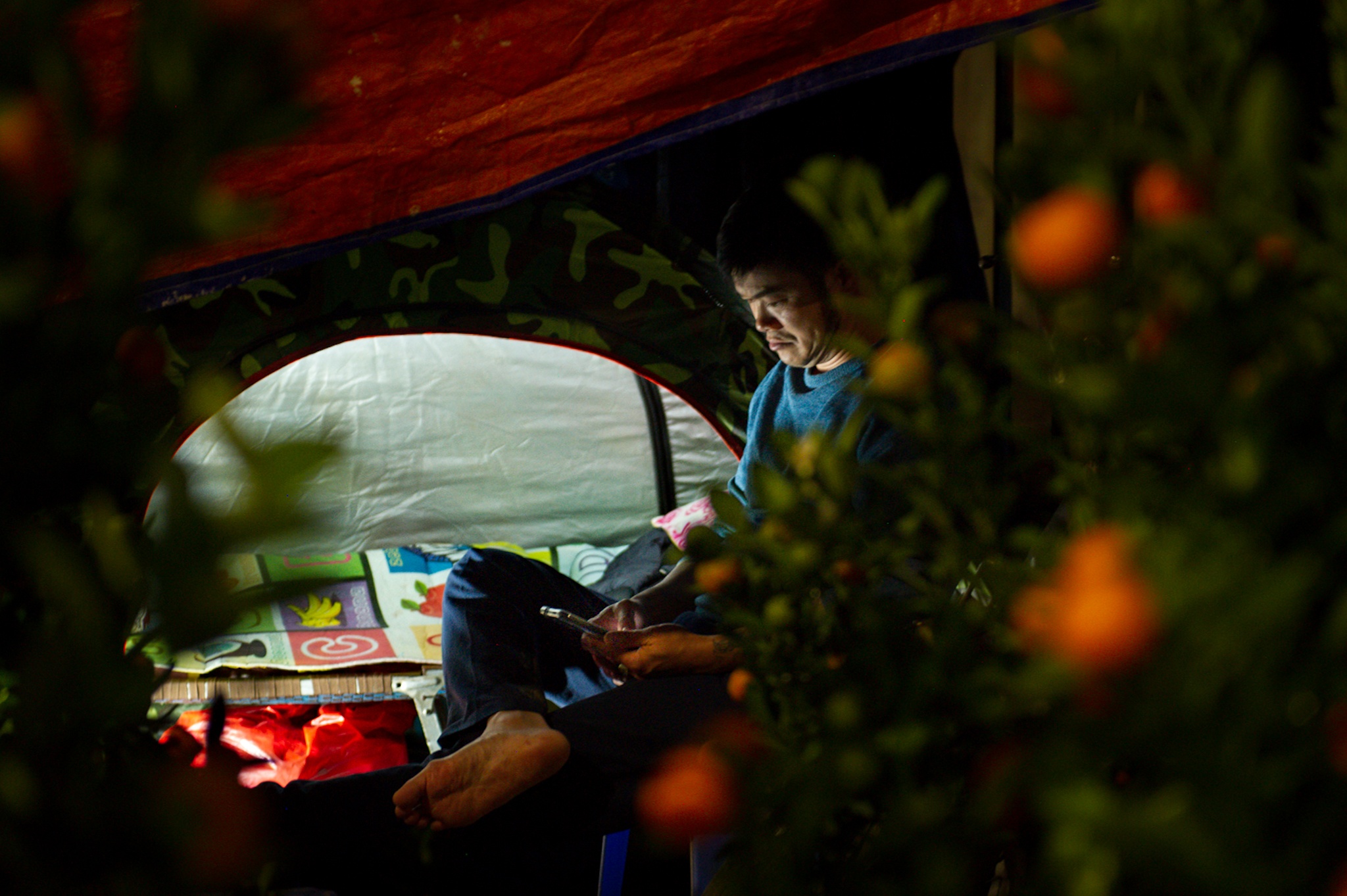 trong cay canh Tet ban dem anh 8