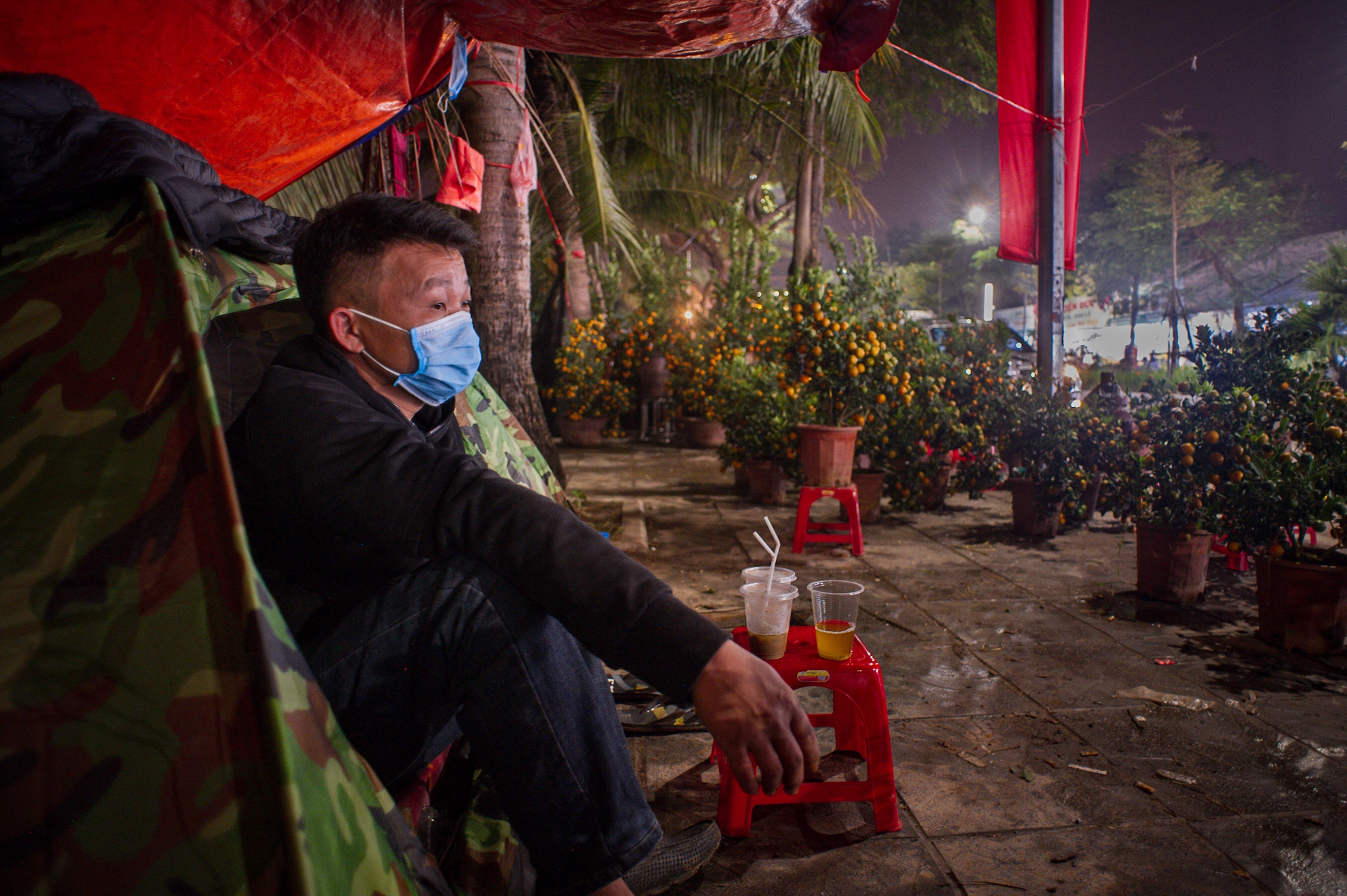 trong cay canh Tet ban dem anh 5