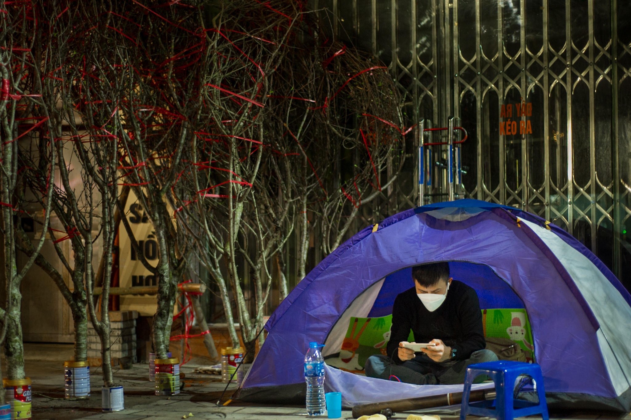 trong cay canh Tet ban dem anh 4