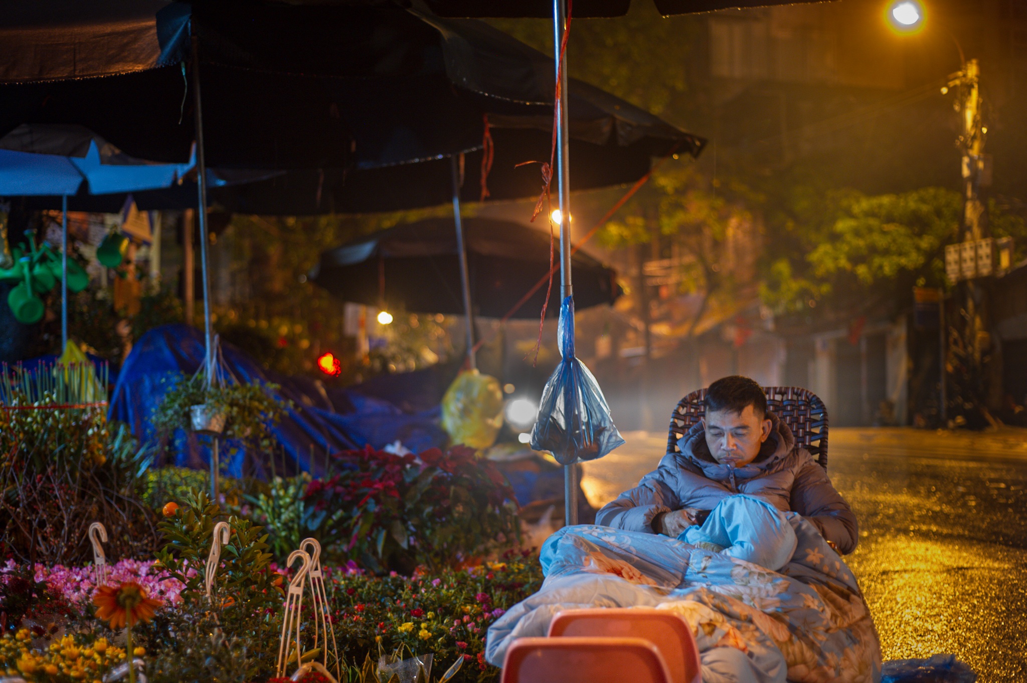 trong cay canh Tet ban dem anh 7