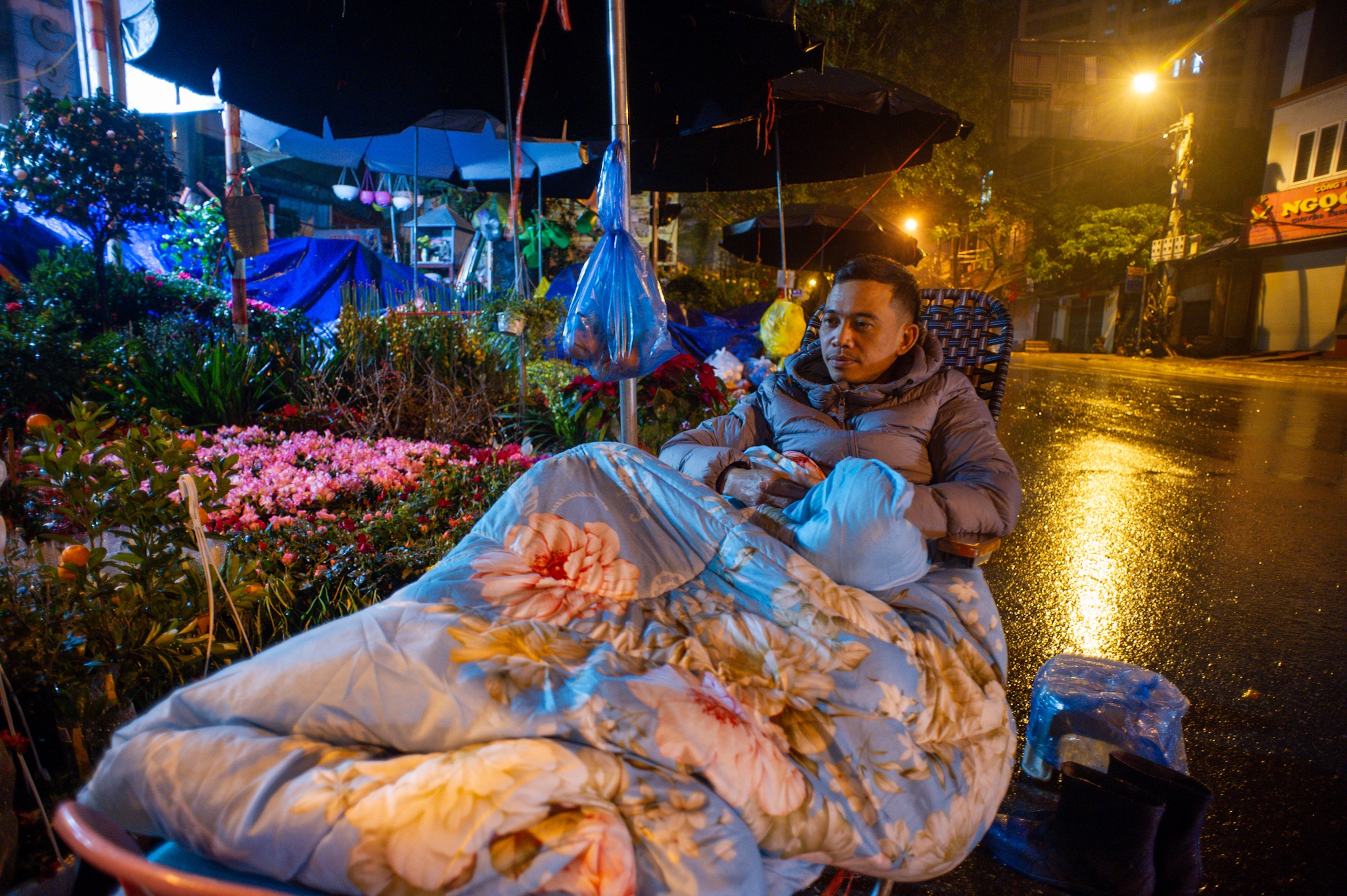 Dung leu, mac man o via he trong cay canh Tet hinh anh