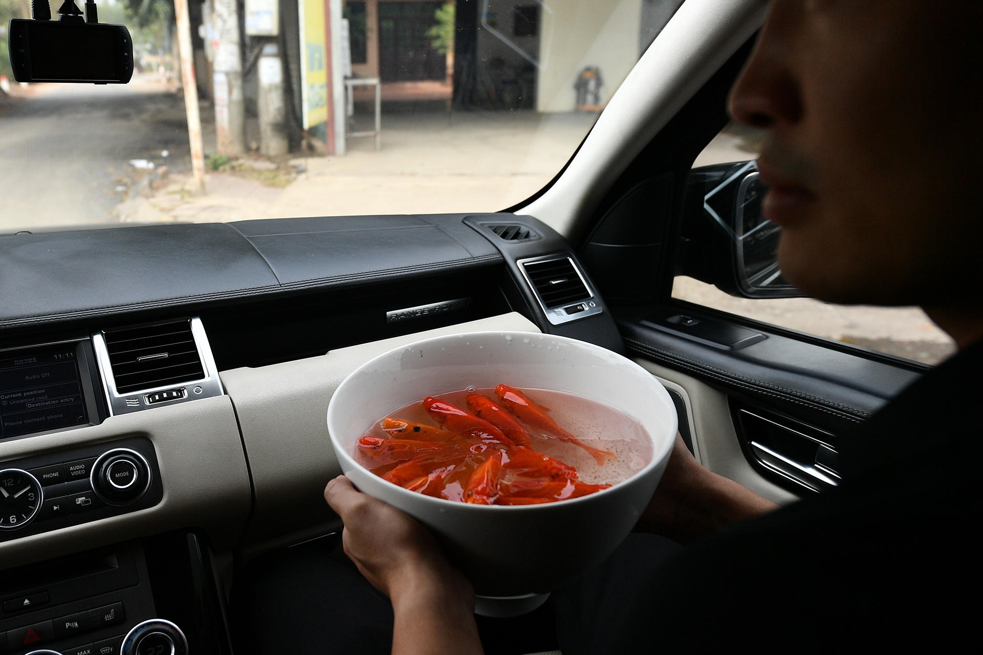 Tha ca chep tien tao quan anh 4