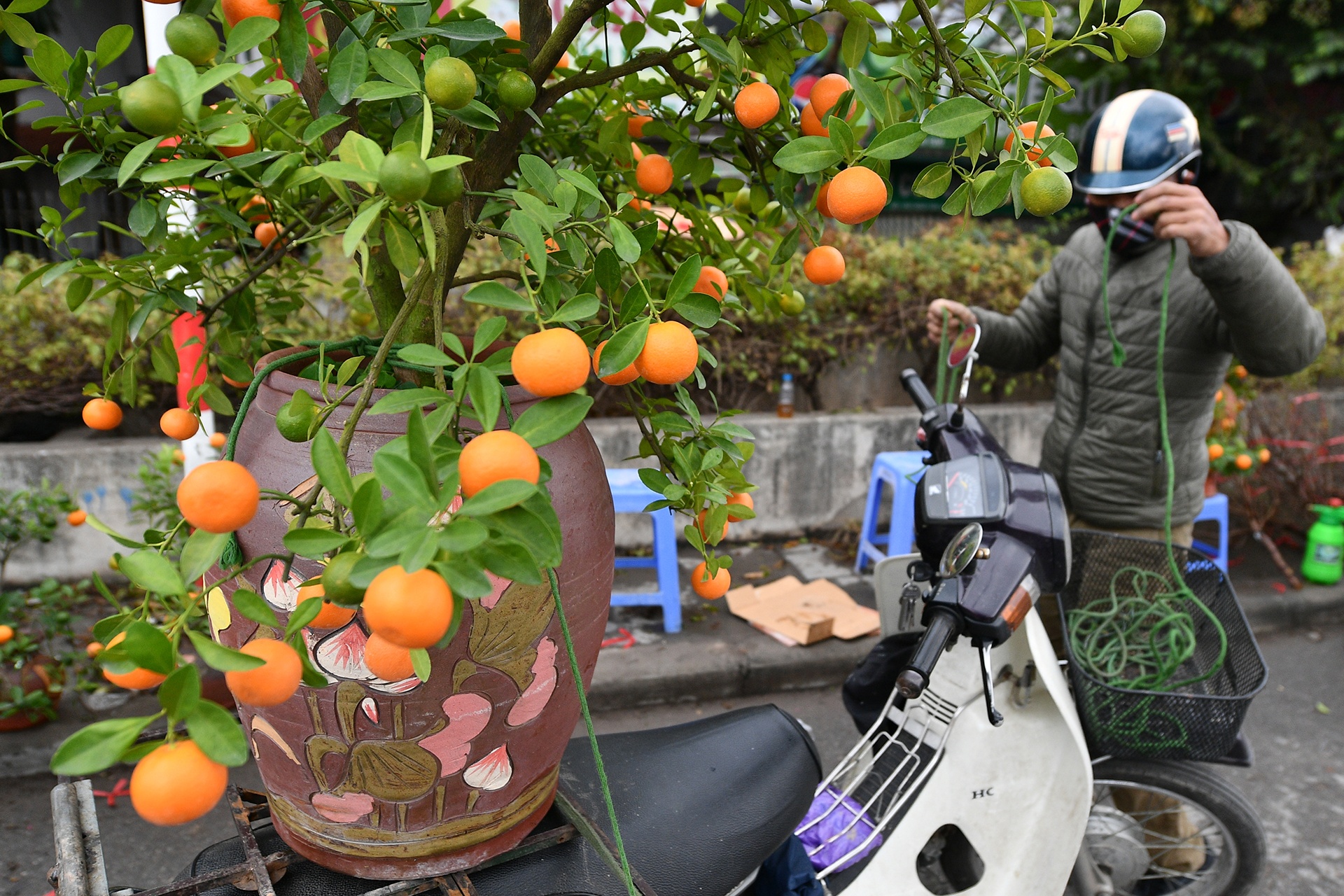 cho ngay 29 Tet anh 11