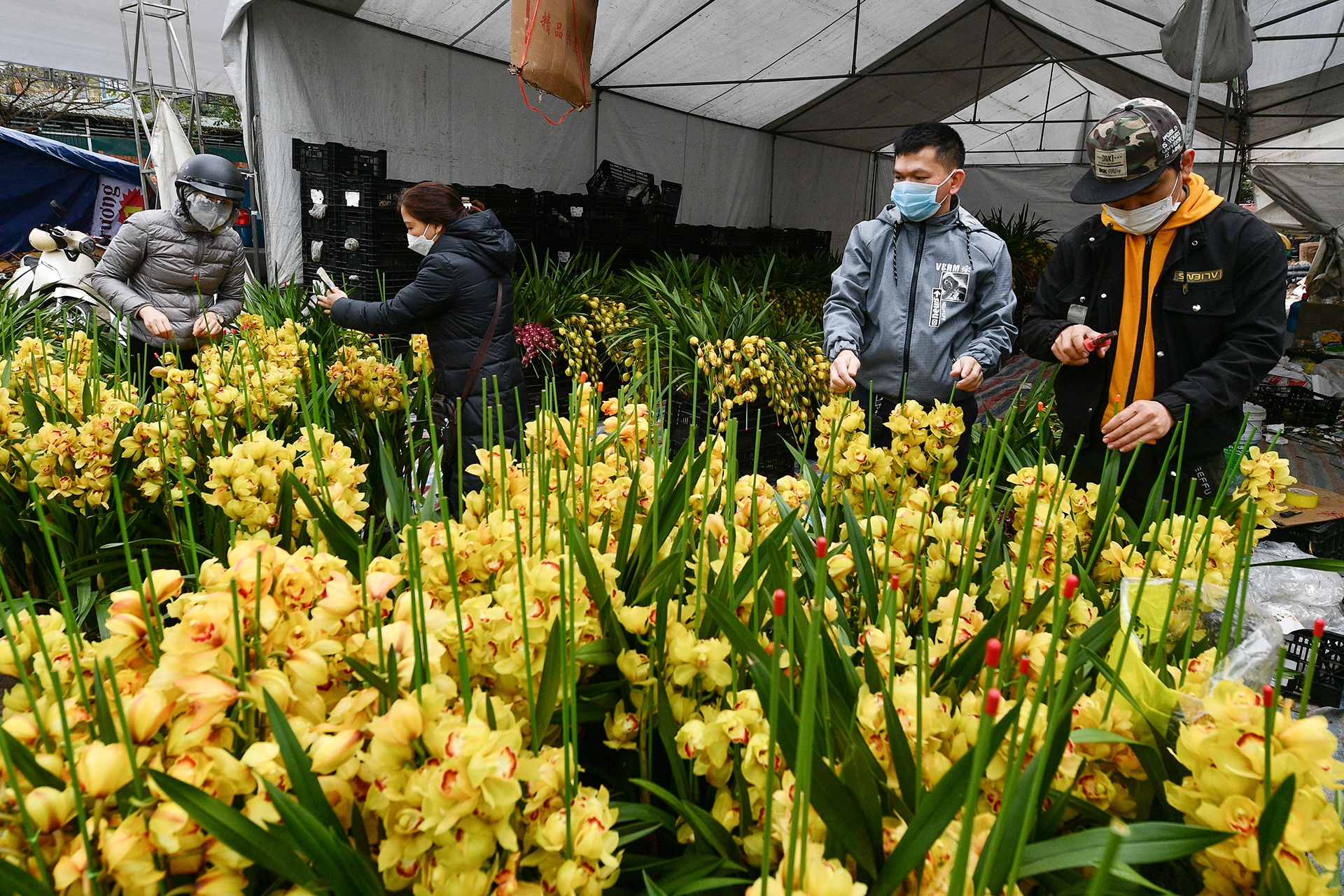 cho ngay 29 Tet anh 9