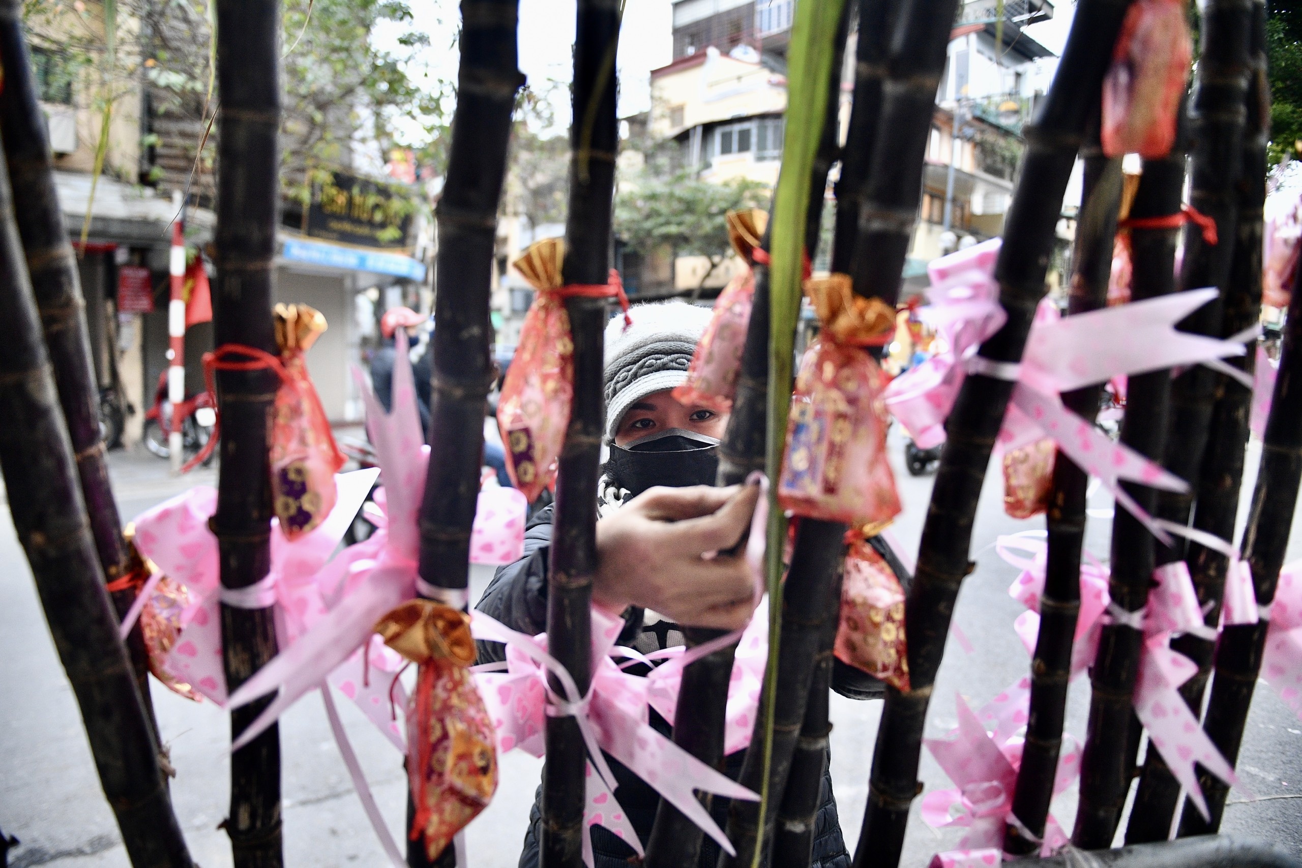 Ha Noi chieu cuoi nam anh 12