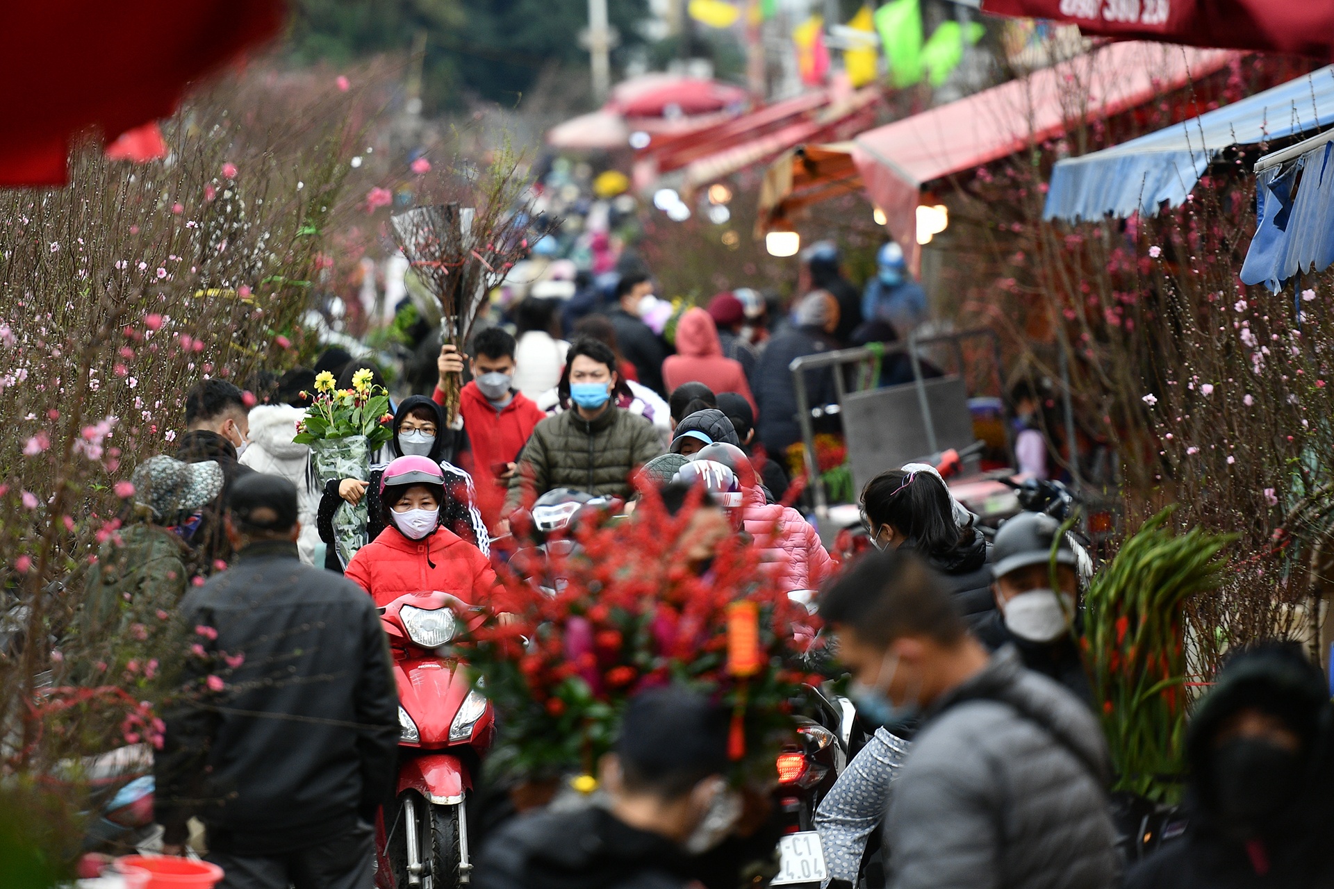 cho hoa Tet o Ha Noi anh 2