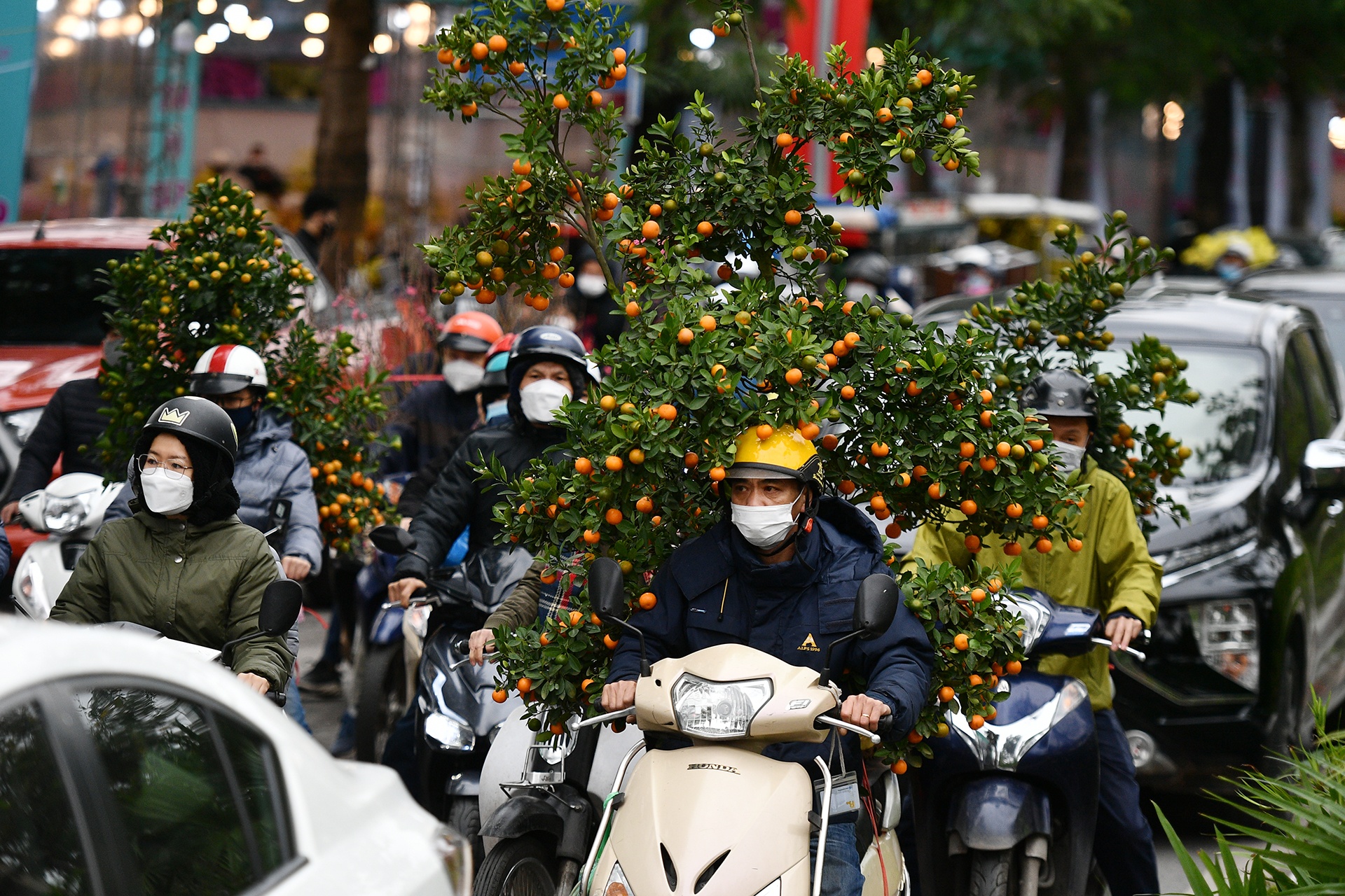 cho hoa Tet o Ha Noi anh 10