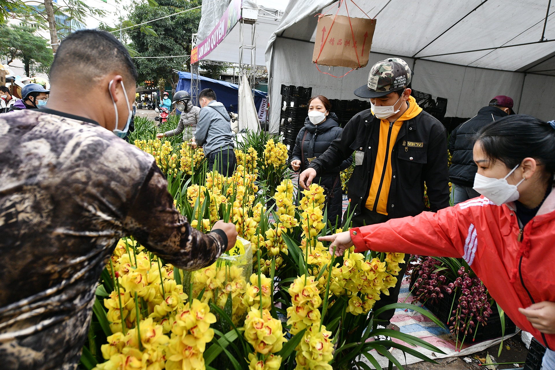 cho hoa Tet o Ha Noi anh 14