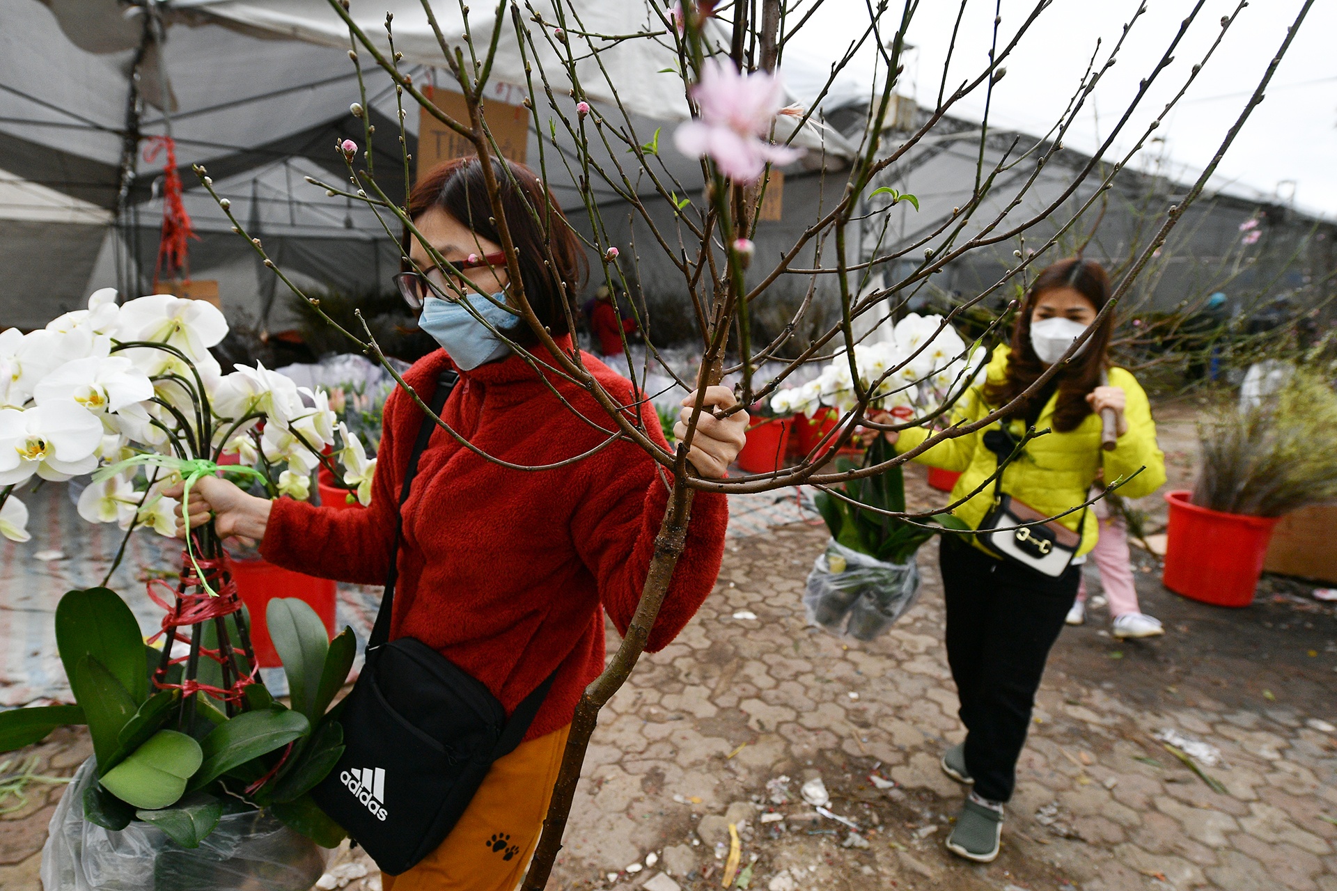 cho hoa Tet o Ha Noi anh 13