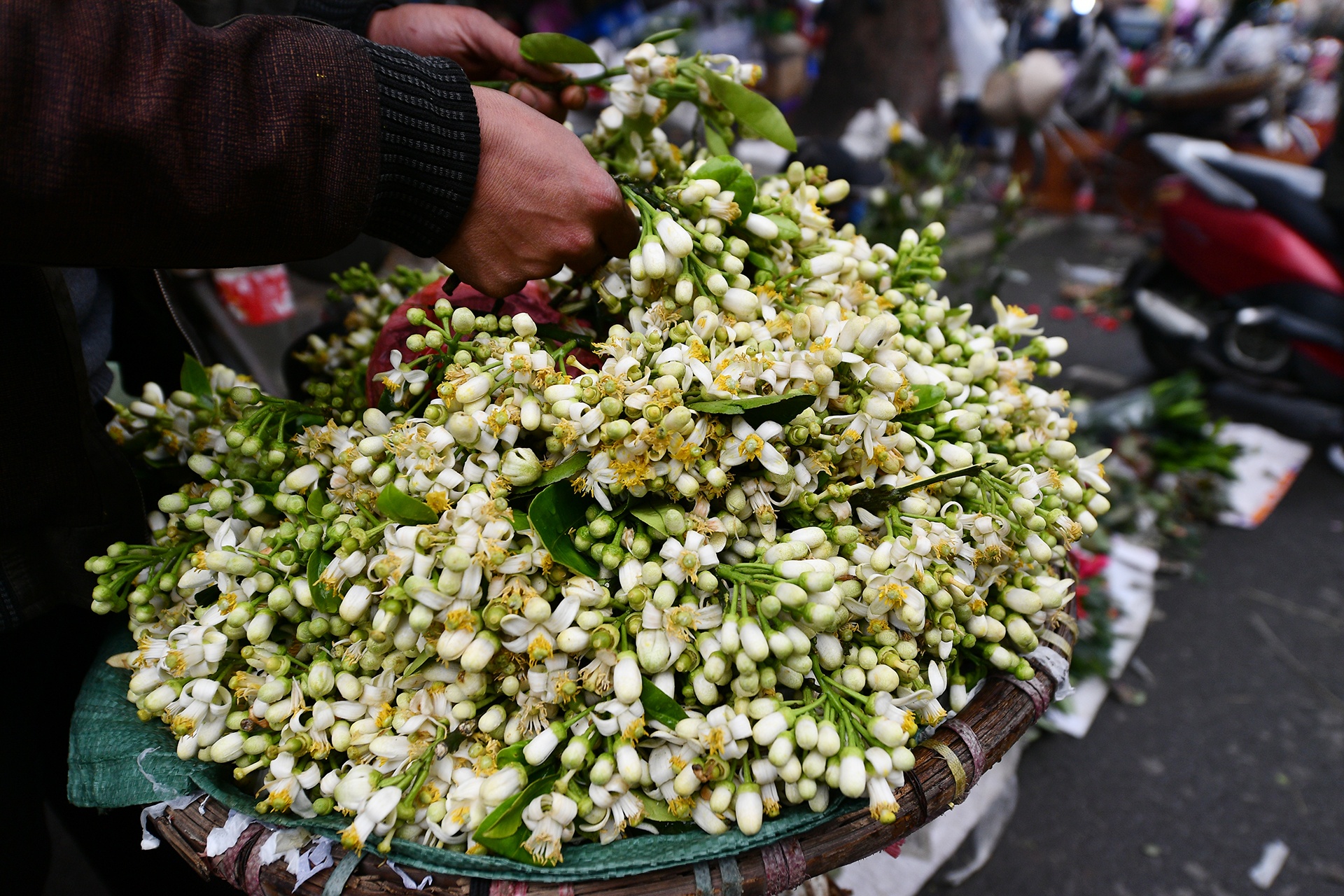 cho ngay 29 Tet anh 4