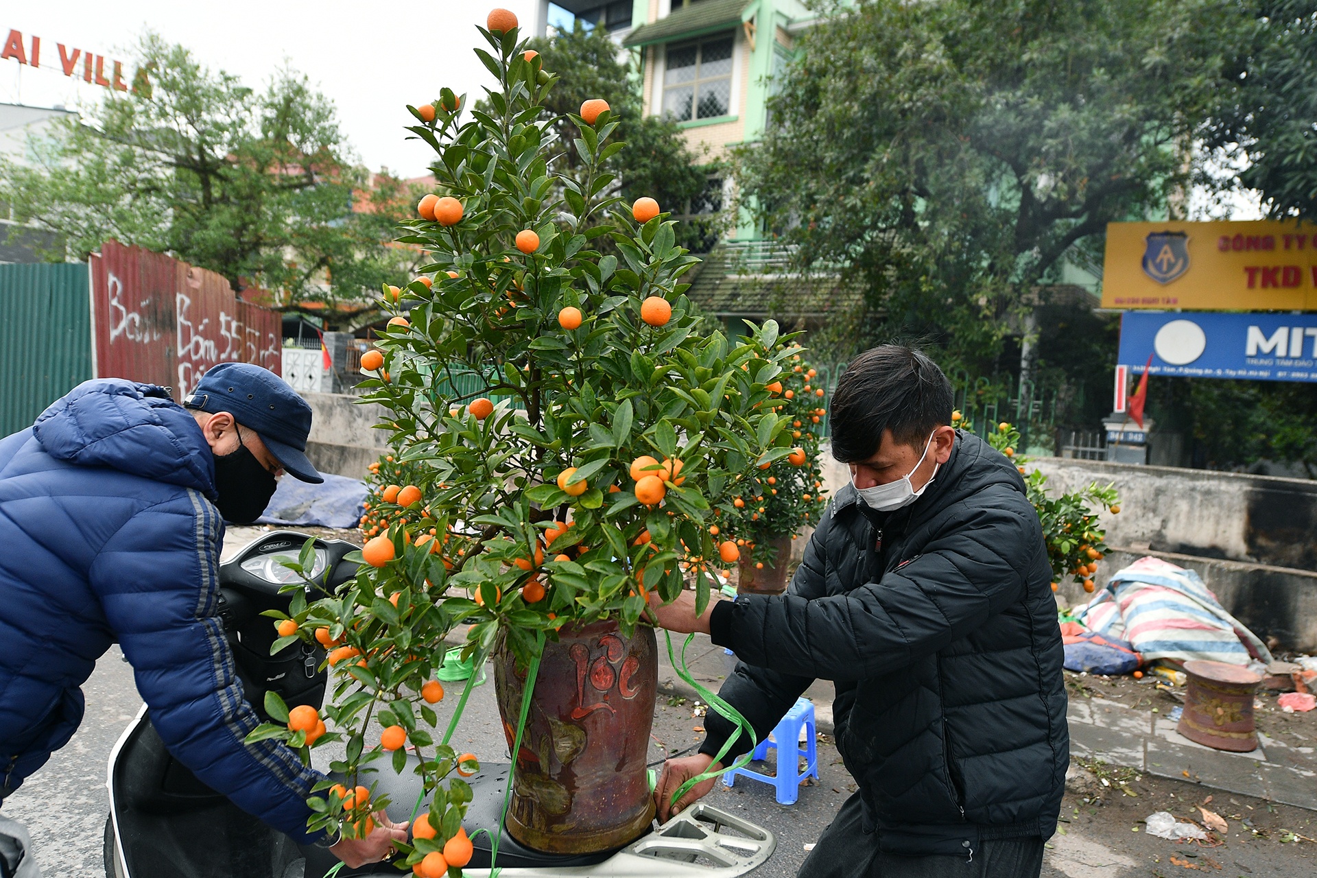 cho hoa Tet o Ha Noi anh 8