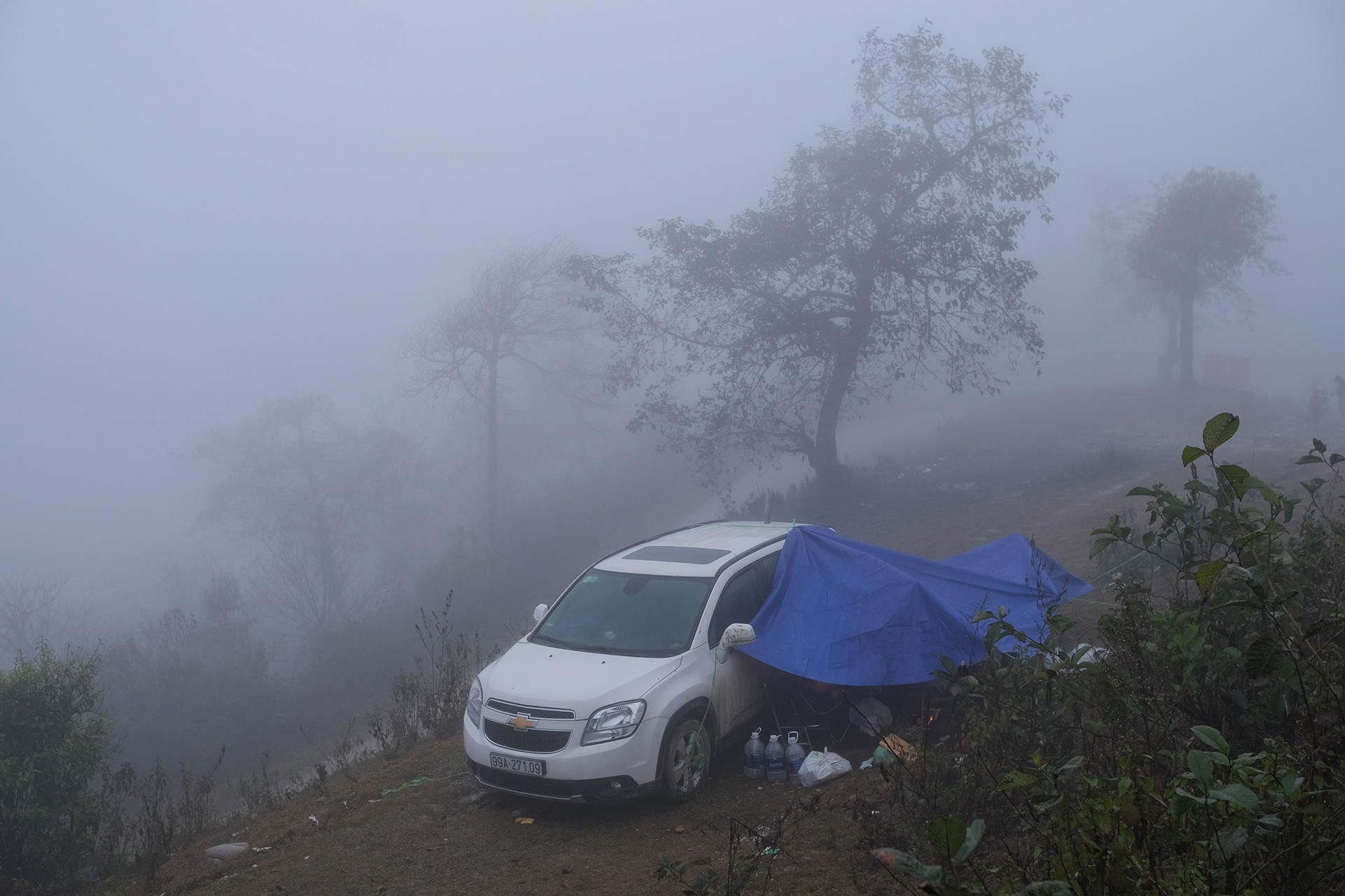 Y Ty mua bang gia anh 1