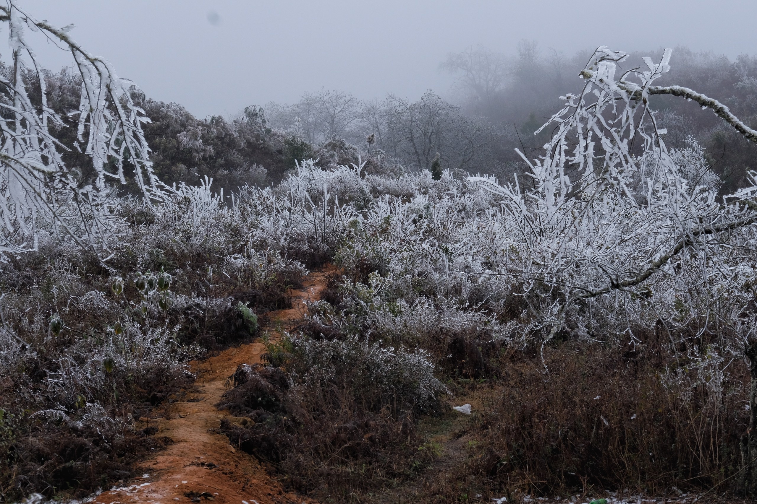 Y Ty mua bang gia anh 10