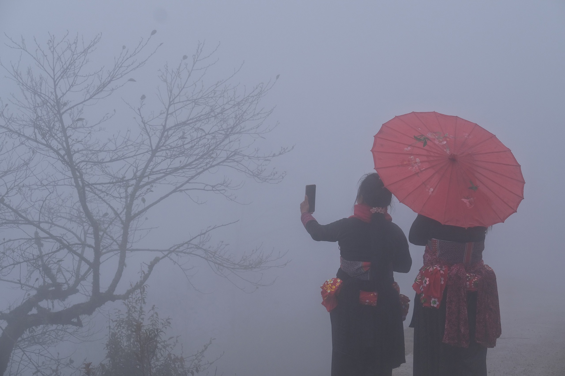 Y Ty mua bang gia anh 13