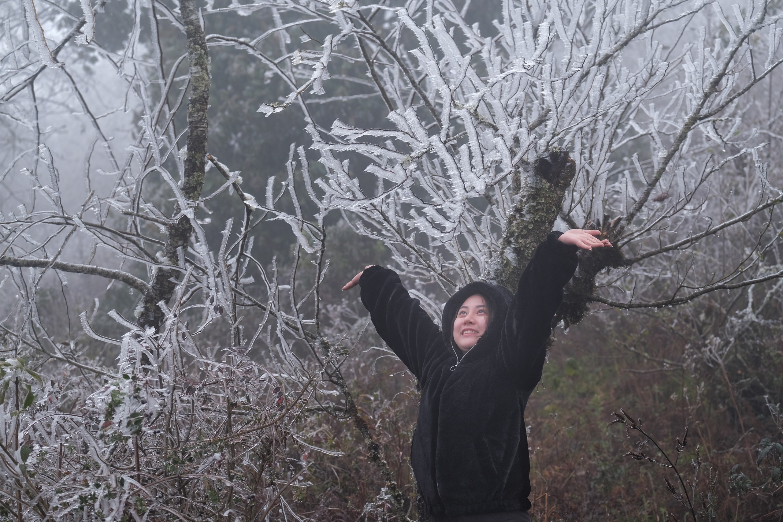 Y Ty mua bang gia anh 9