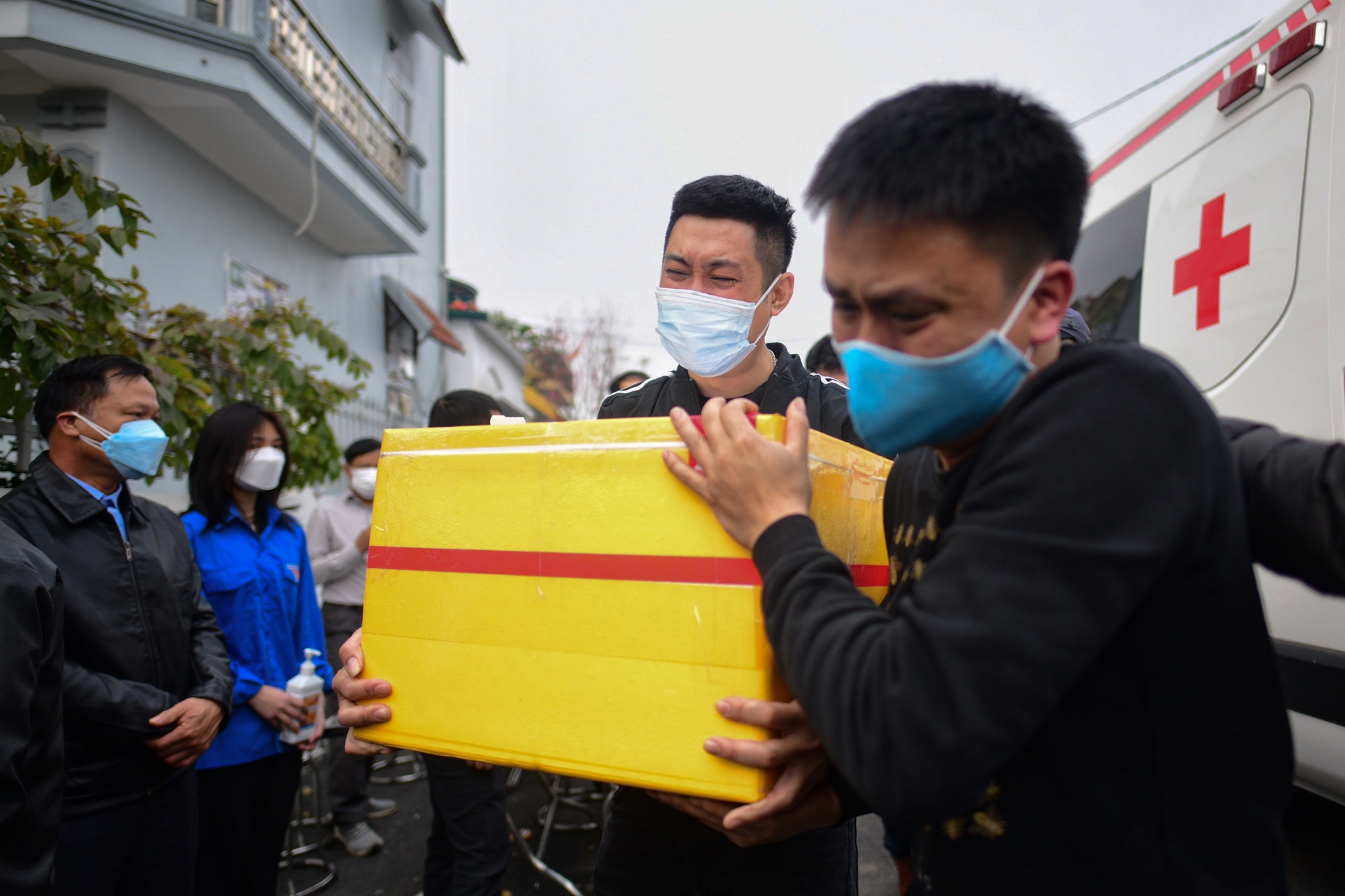 vu chim cano o Hoi An anh 5