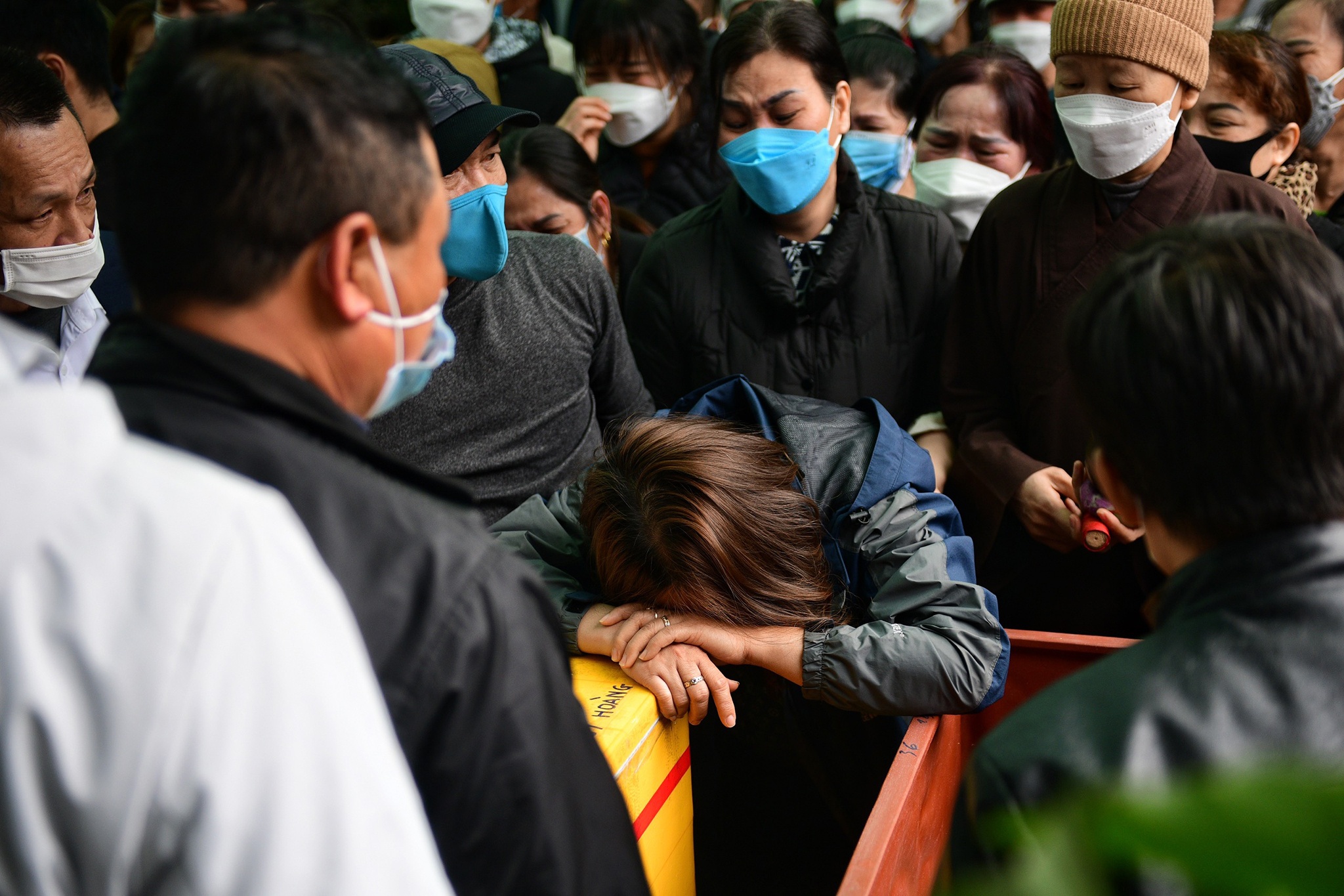 vu chim cano o Hoi An anh 7