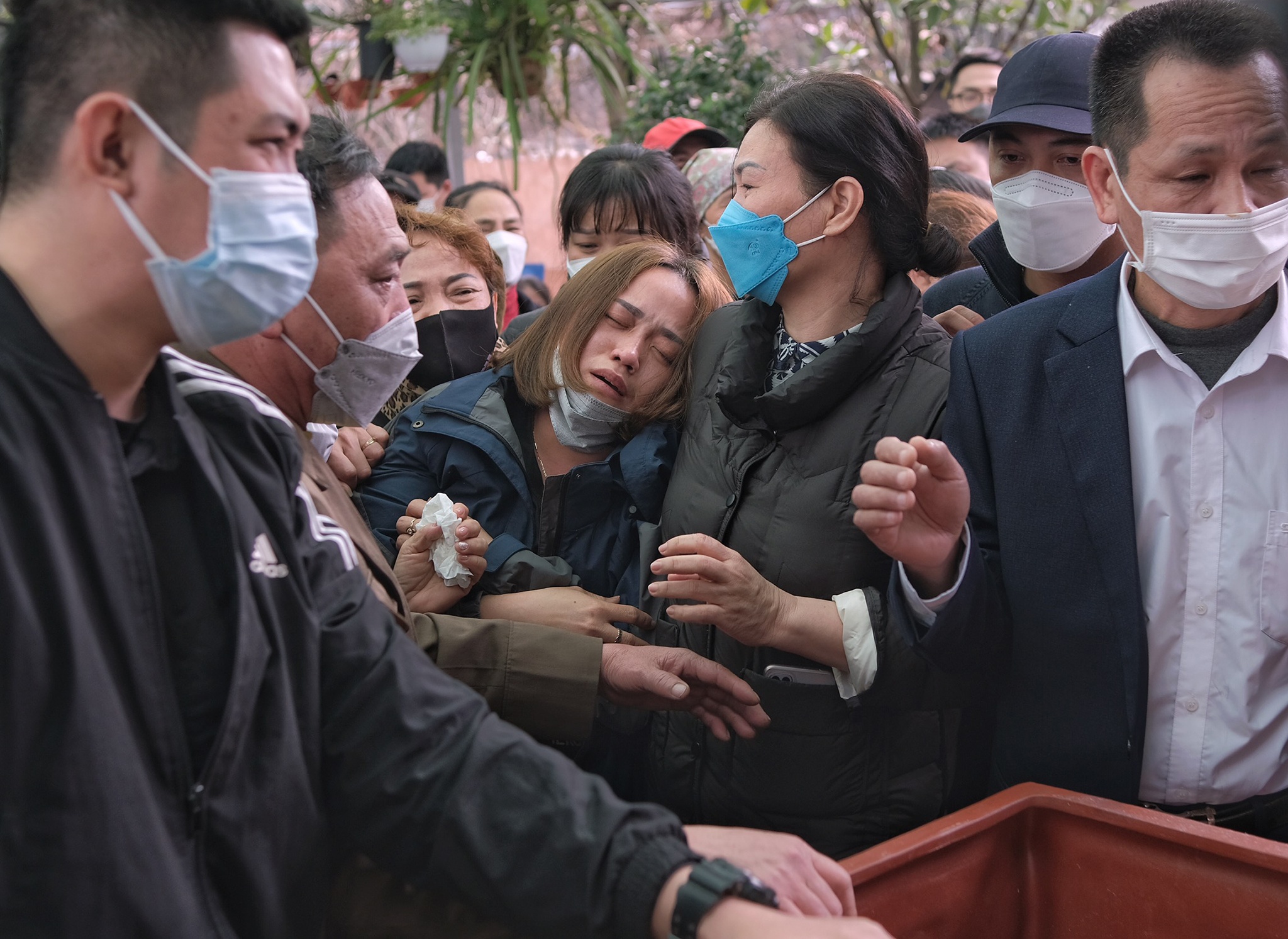 vu chim cano o Hoi An anh 4