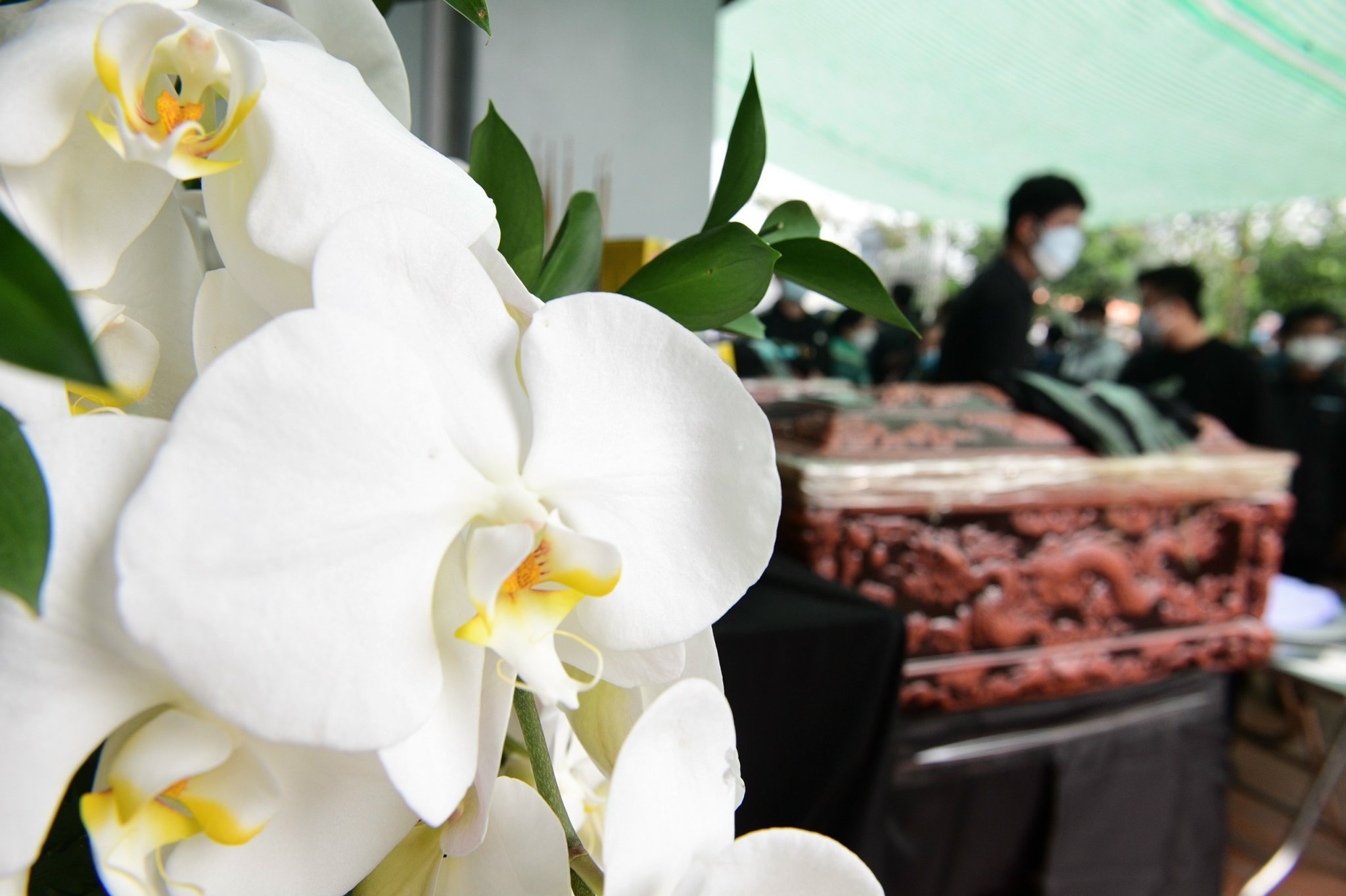 vu chim cano o Hoi An anh 13