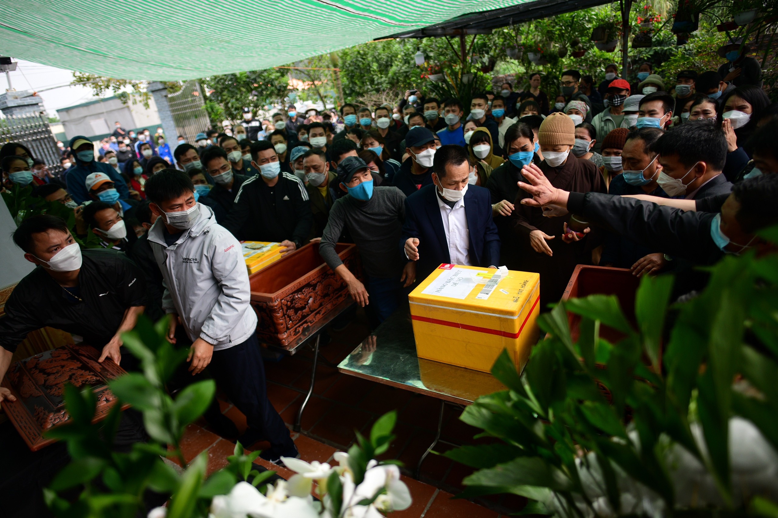 vu chim cano o Hoi An anh 12