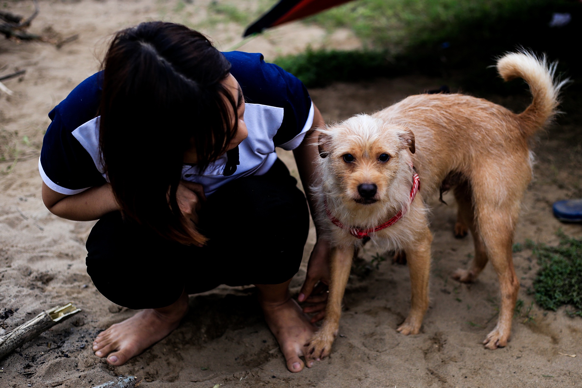 da ngoai o bai song Hong gan cau Vinh Tuy anh 2