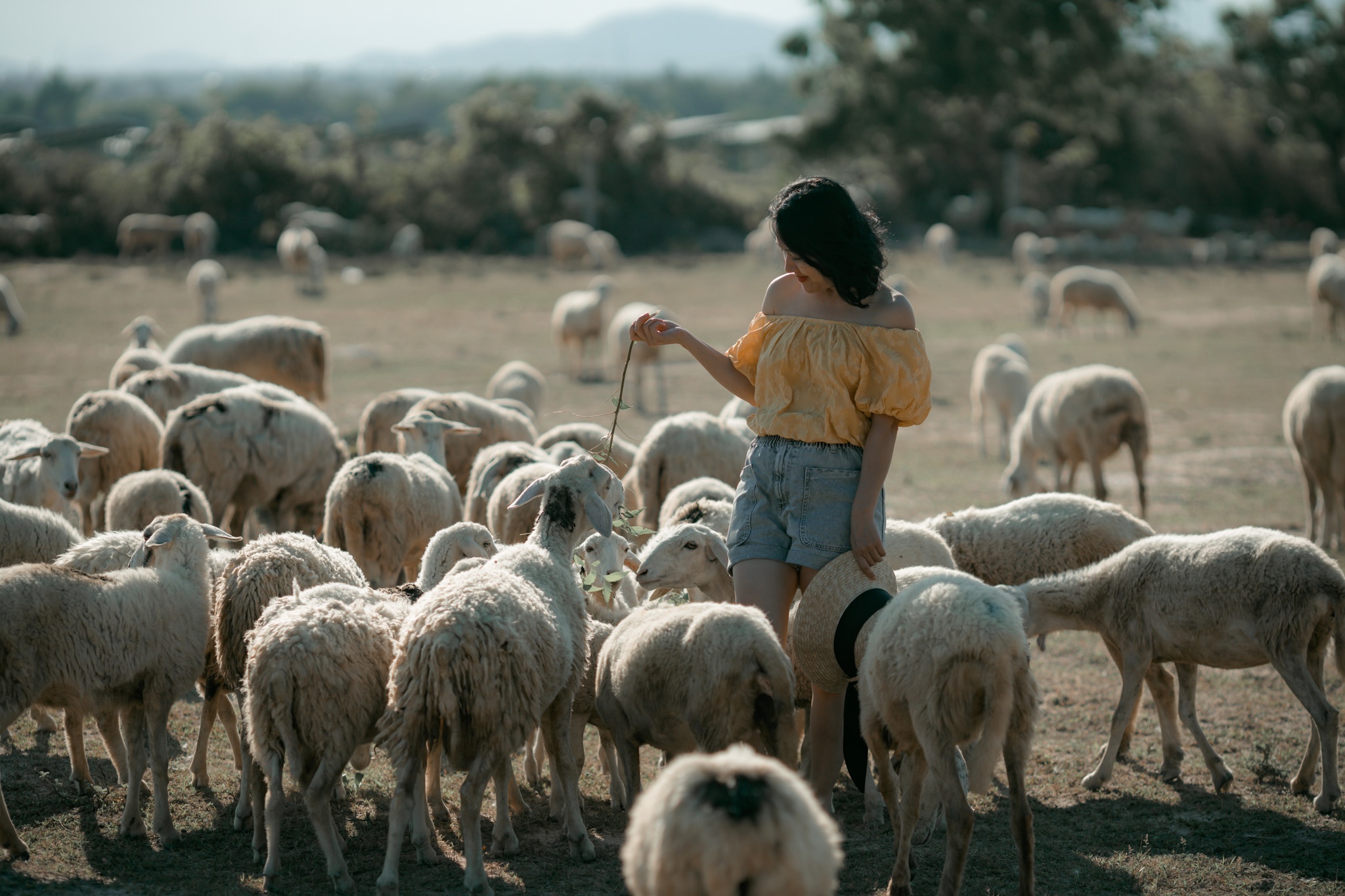 nhung diem den dep hap dan o Ninh Thuan anh 11