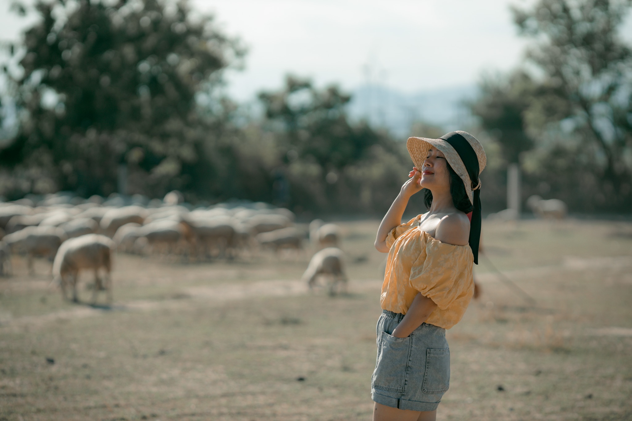 nhung diem den dep hap dan o Ninh Thuan anh 10