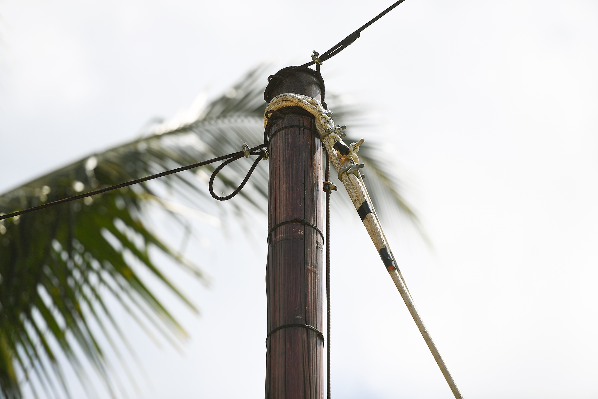 chơi xích đu ở Bali ảnh 4 choi xich du o Bali anh 4