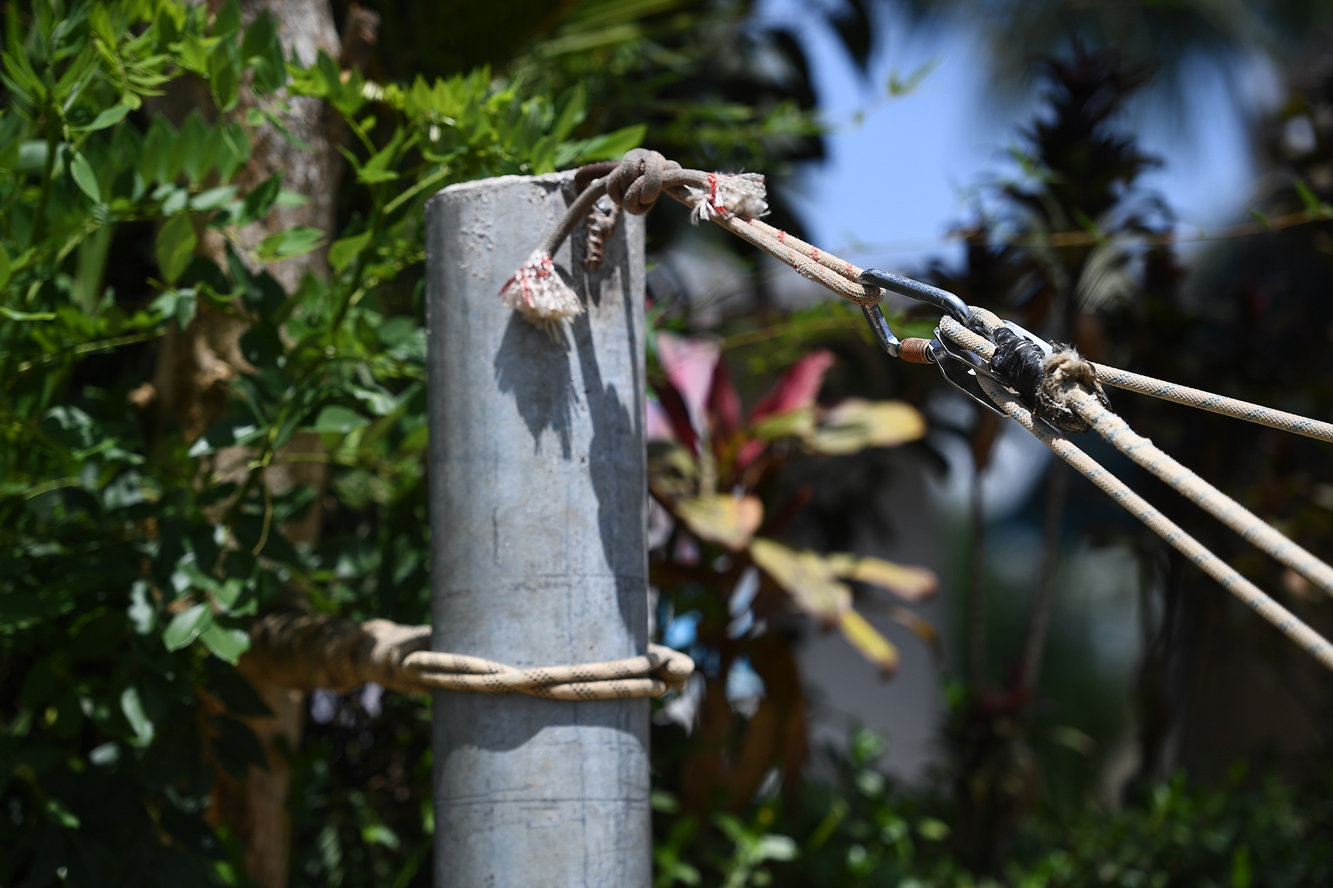 chơi xích đu ở Bali ảnh 3 choi xich du o Bali anh 3