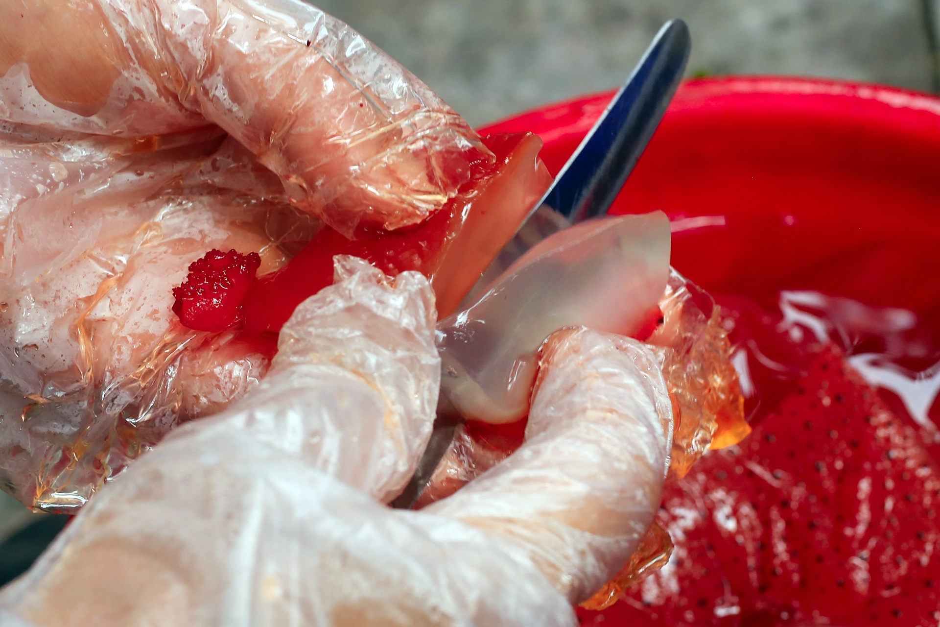 hang sua do hut khach Ha Noi anh 8