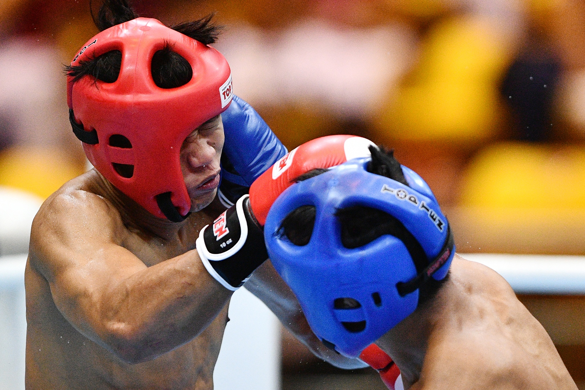 vận động viên Việt Nam đấu kickboxing ảnh 20 van dong vien Viet Nam dau kickboxing anh 20