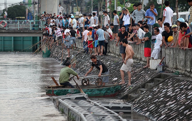 Ca noi tran song Nhue, nguoi dan do xo vot bat hinh anh
