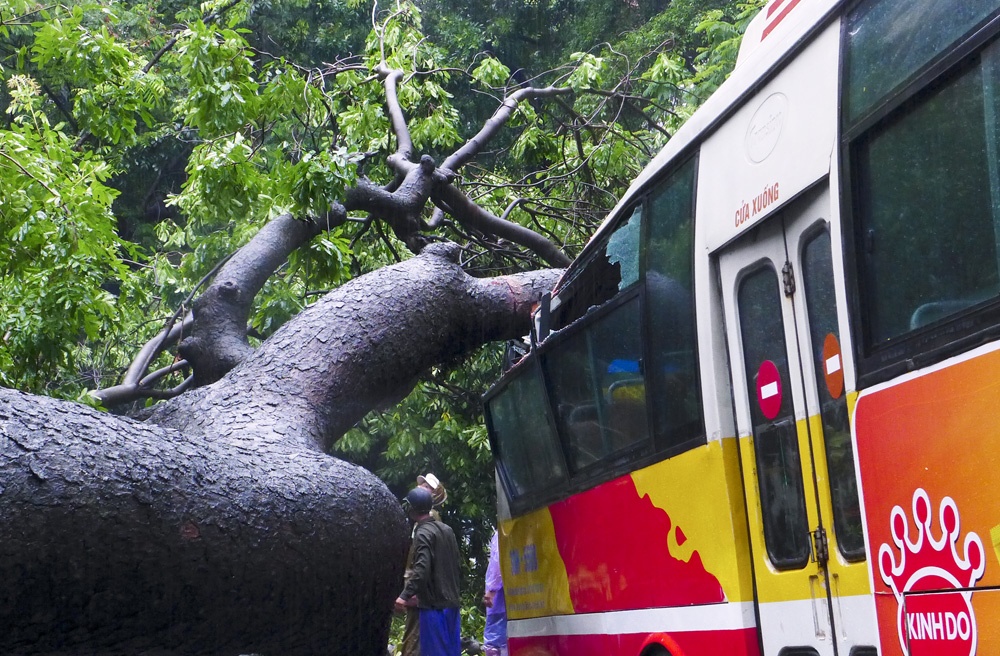 Cay do bep xe buyt dang chay trong sang ngay khai truong hinh anh