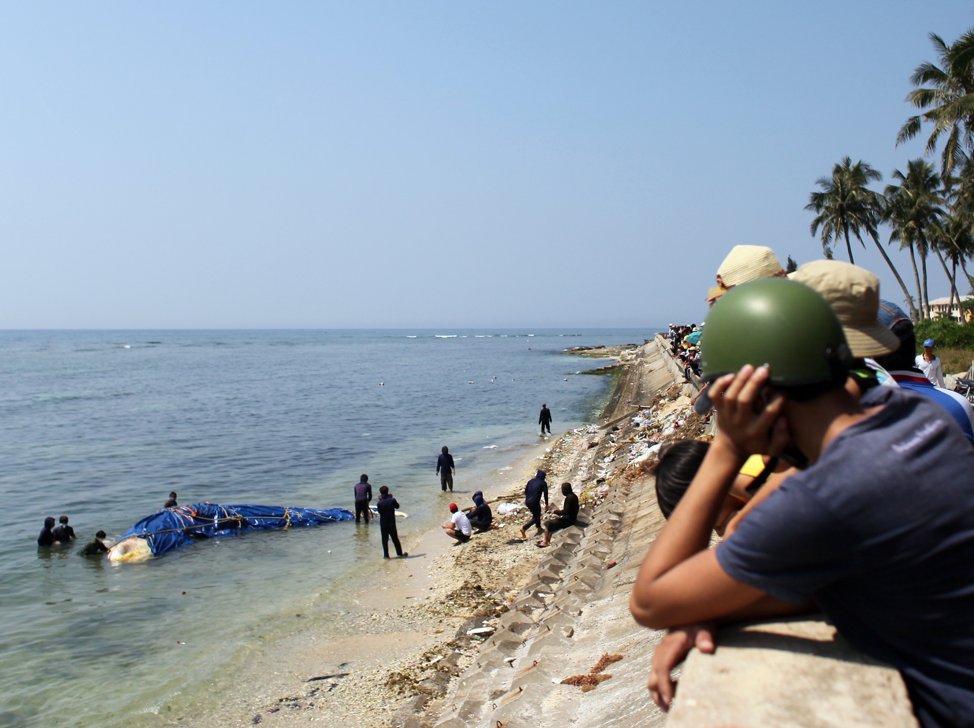 Chính vì sự linh thiêng của cá ông nên người dân tại 2 xã An Hải và An Vĩnh đều muốn dành phần mai táng và lập đền thờ ở xã mình.