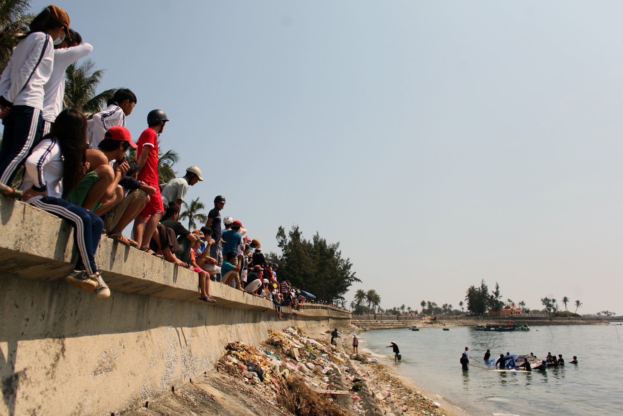 Ngay từ sáng rất đông người dân trên đảo và khách du lịch đã tập trung về xã An Hải để chứng kiến các ngư dân lai dắt cá Ông về đảo để an táng.