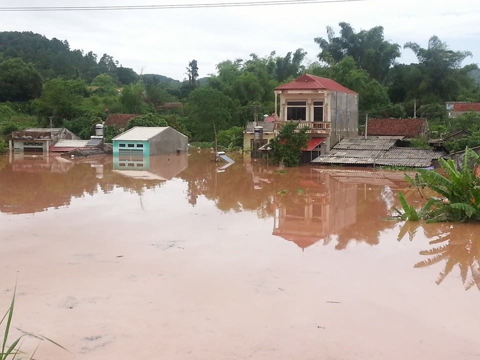 Canh ngap o Lang Son sau bao Than Sam hinh anh