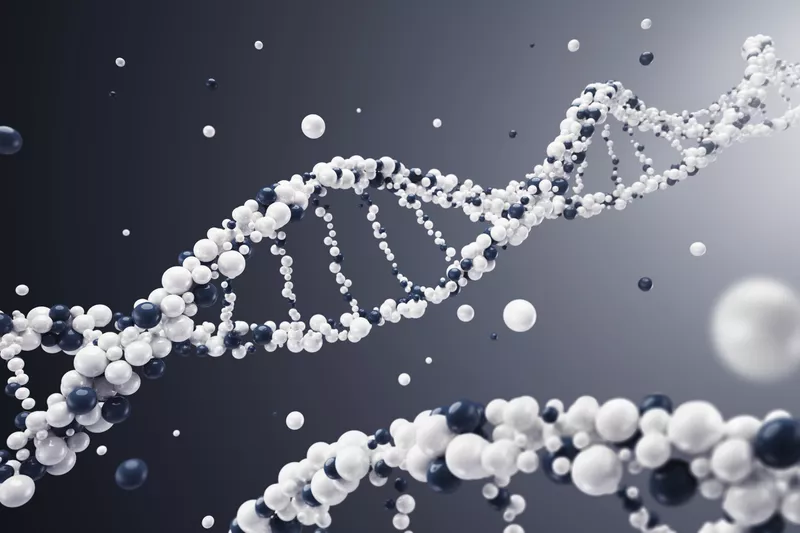 Hoi chung Rett anh 1