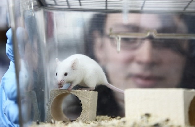 nhin an gian doan anh 2