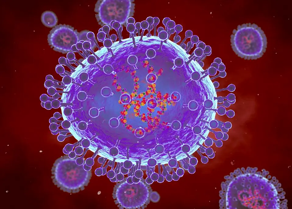 Loai virus nhieu nguoi nhiem nhung de bi bo qua hinh anh