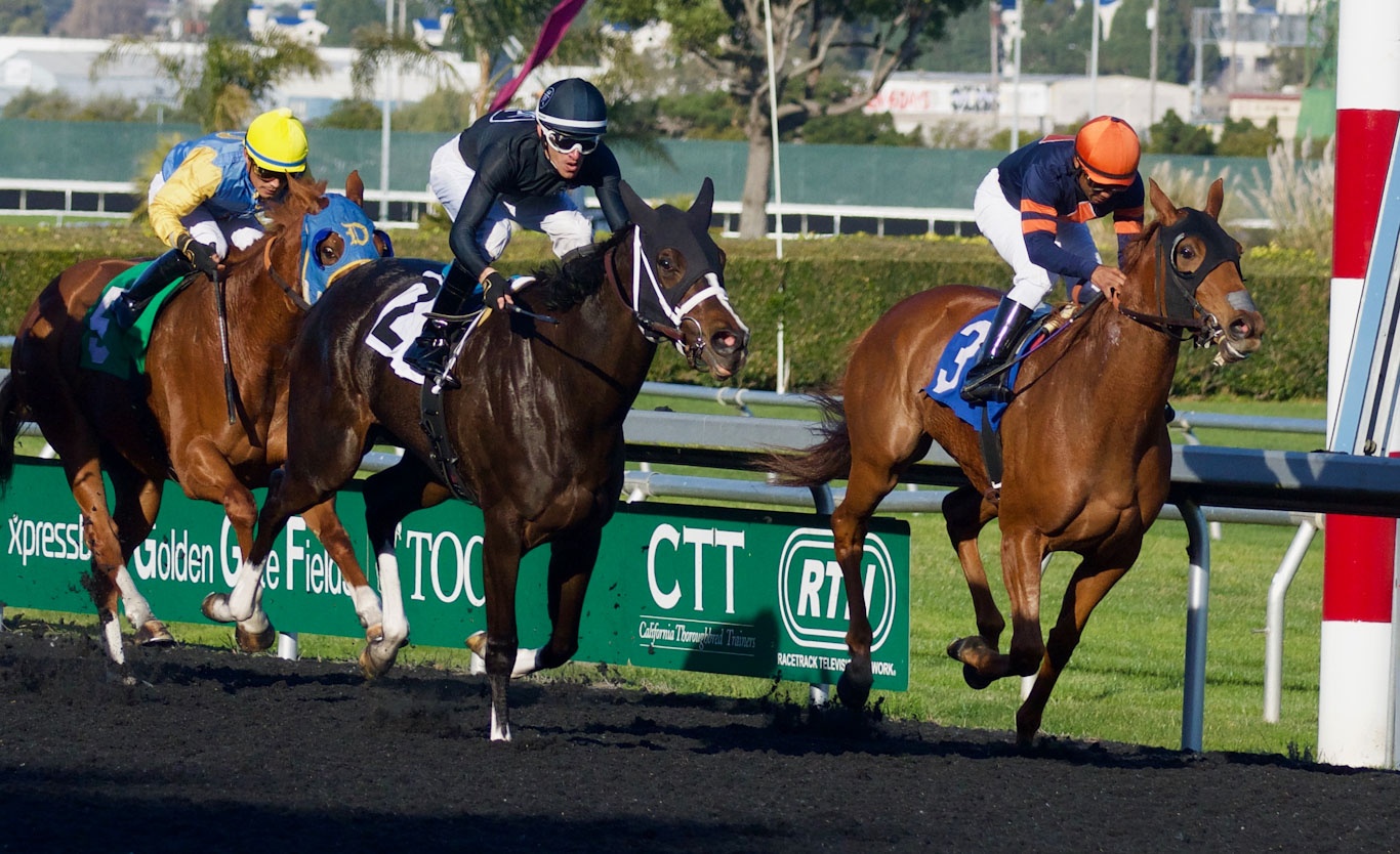 Chinh phu dong y dua du an truong dua ngua vao quy hoach Ha Noi hinh anh