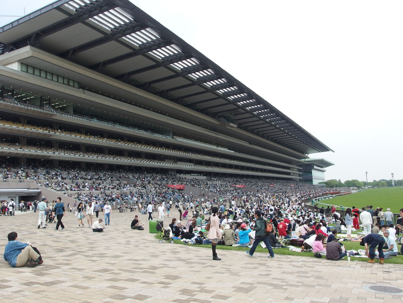 10 truong dua ngua noi tieng nhat the gioi anh 7