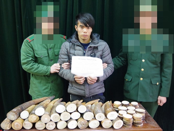 Bat 9X van chuyen 51 kg nga voi sang Trung Quoc hinh anh