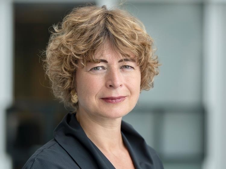 Dai su Ha Lan: 'Toi nguong mo phu nu Viet Nam' hinh anh