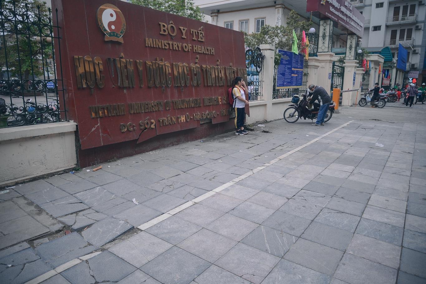 gach via he Ha Noi vo anh 6