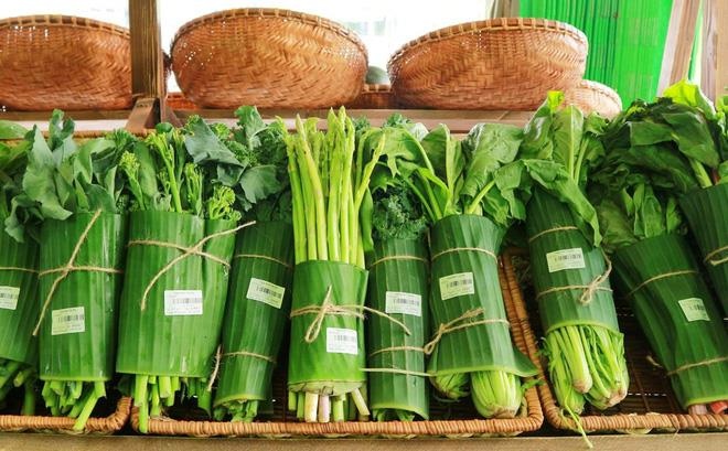 Hà Nội không túi nylon ảnh 1 Ha Noi khong tui nylon anh 1