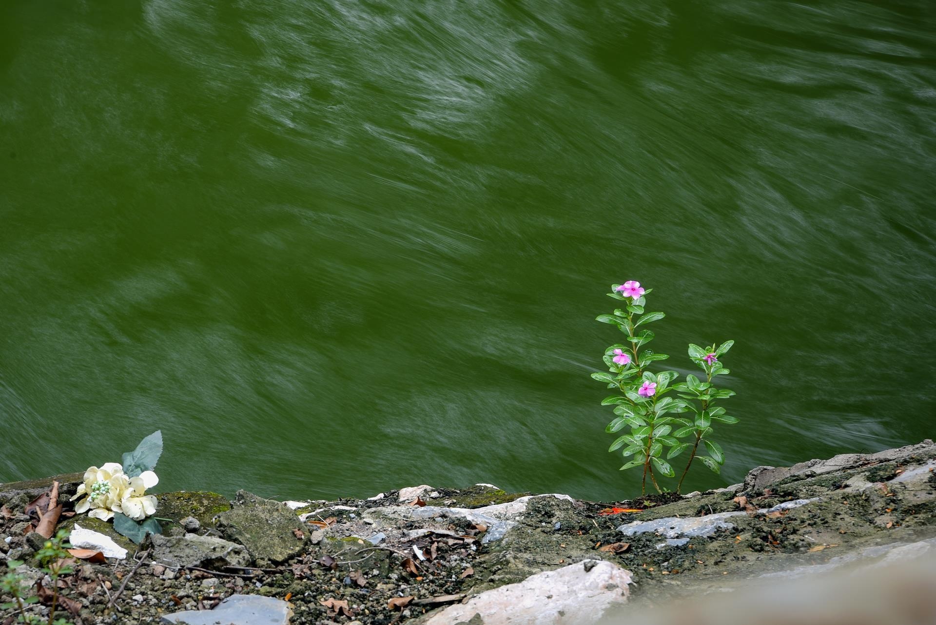 Song To Lich xanh trong anh 1